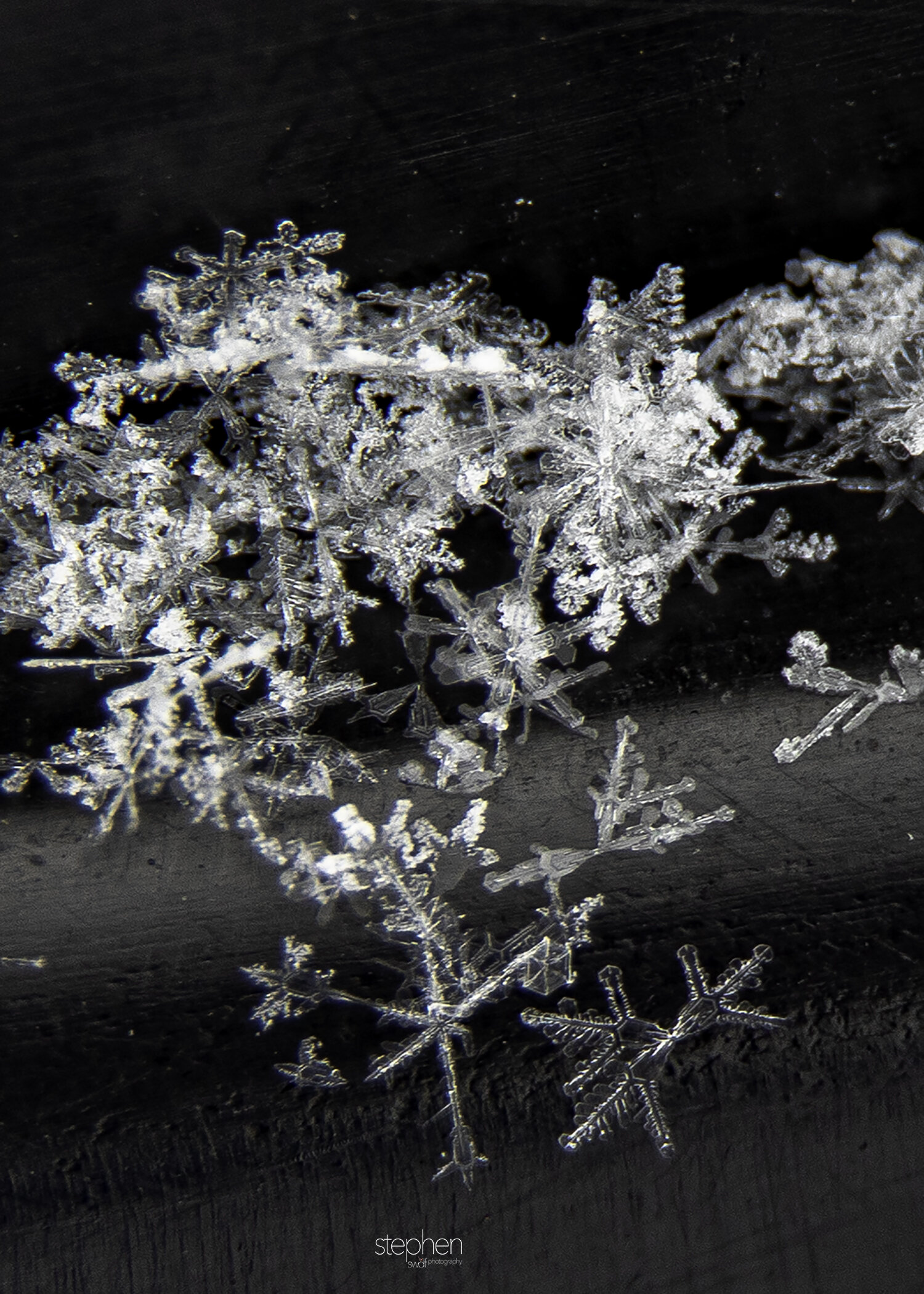 Snowflakes4.jpeg