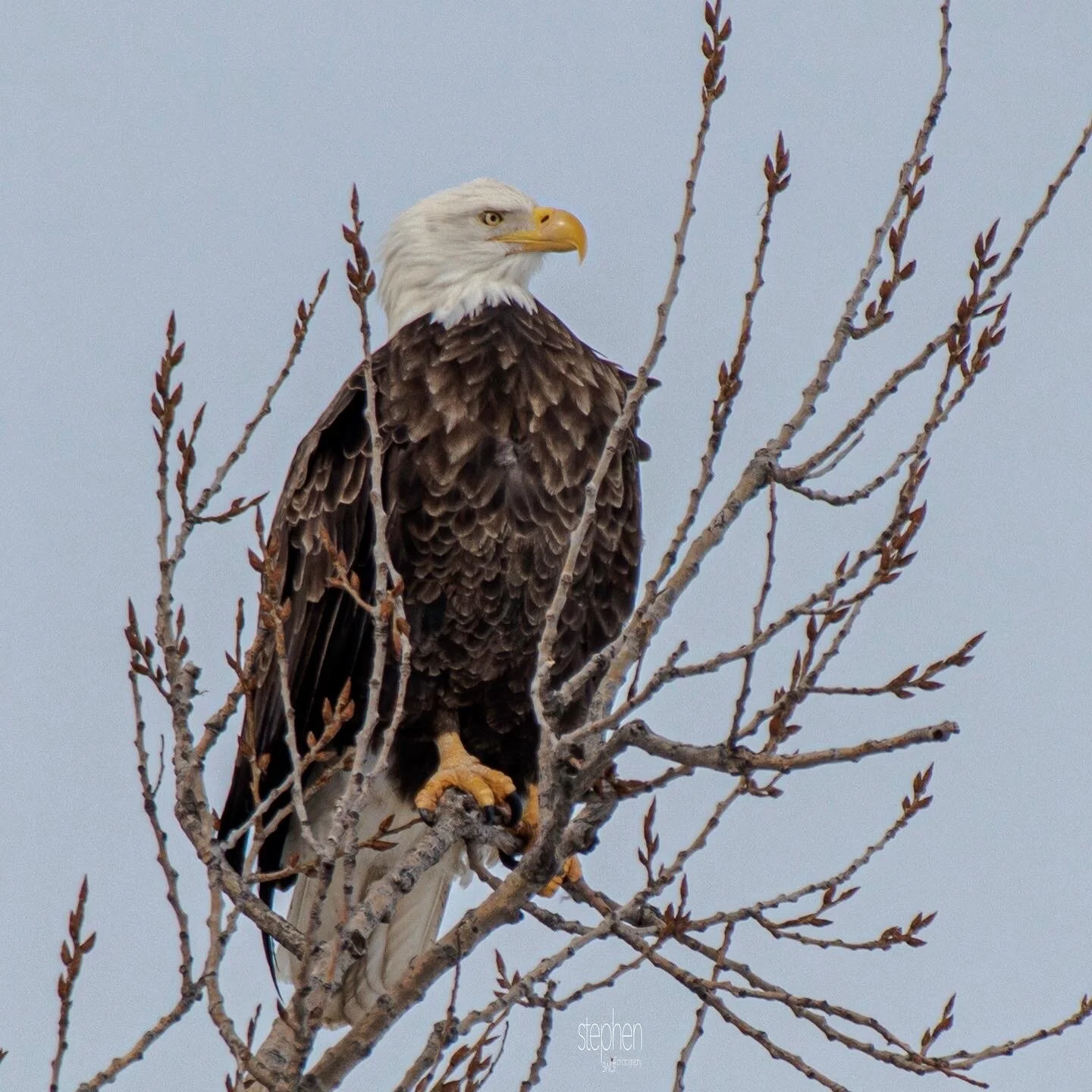 B29474D3-720E-4264-9D8B-39DD3E11EB65.jpeg