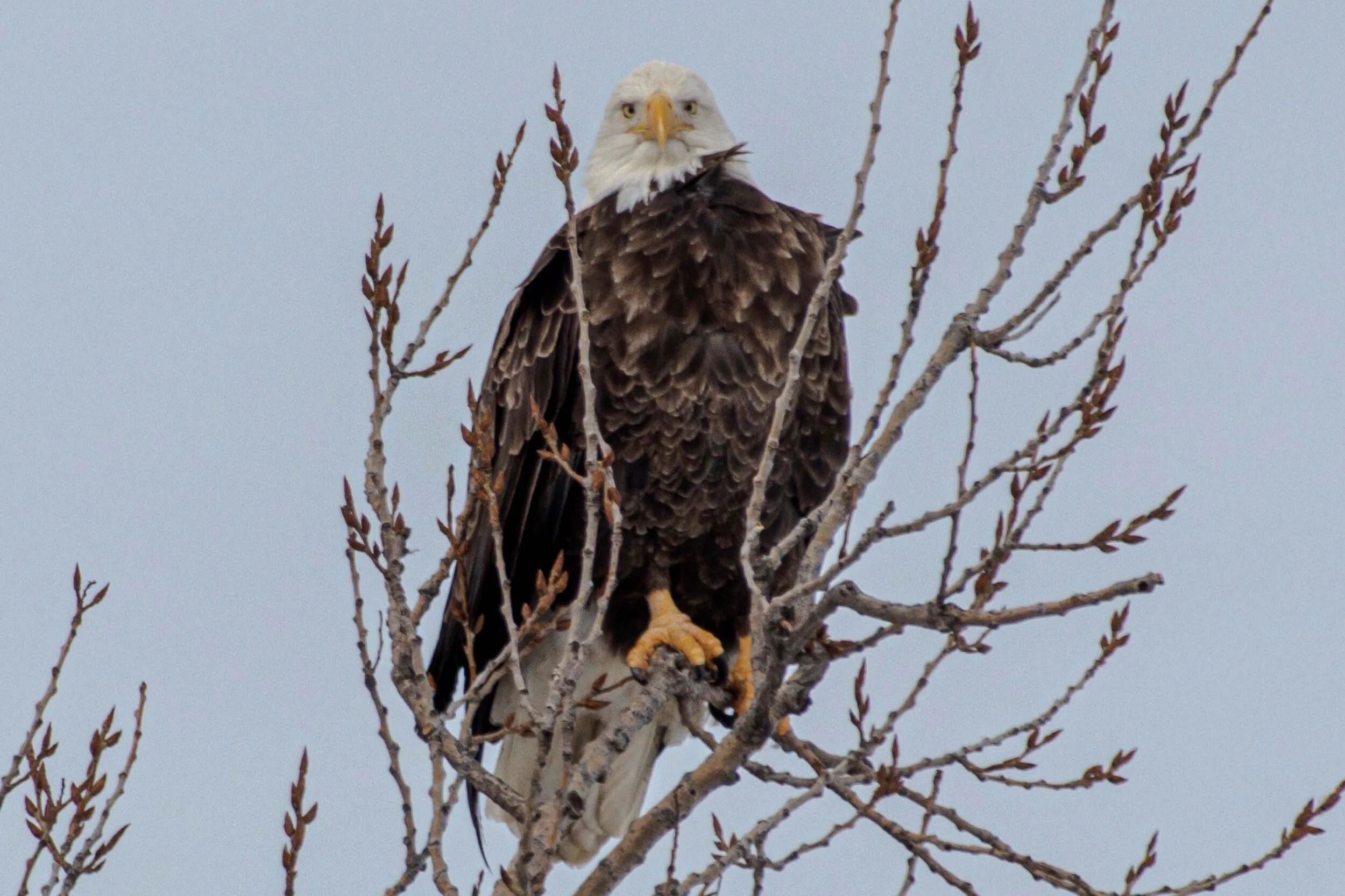 Image 2-21-21 at 21.22.jpeg