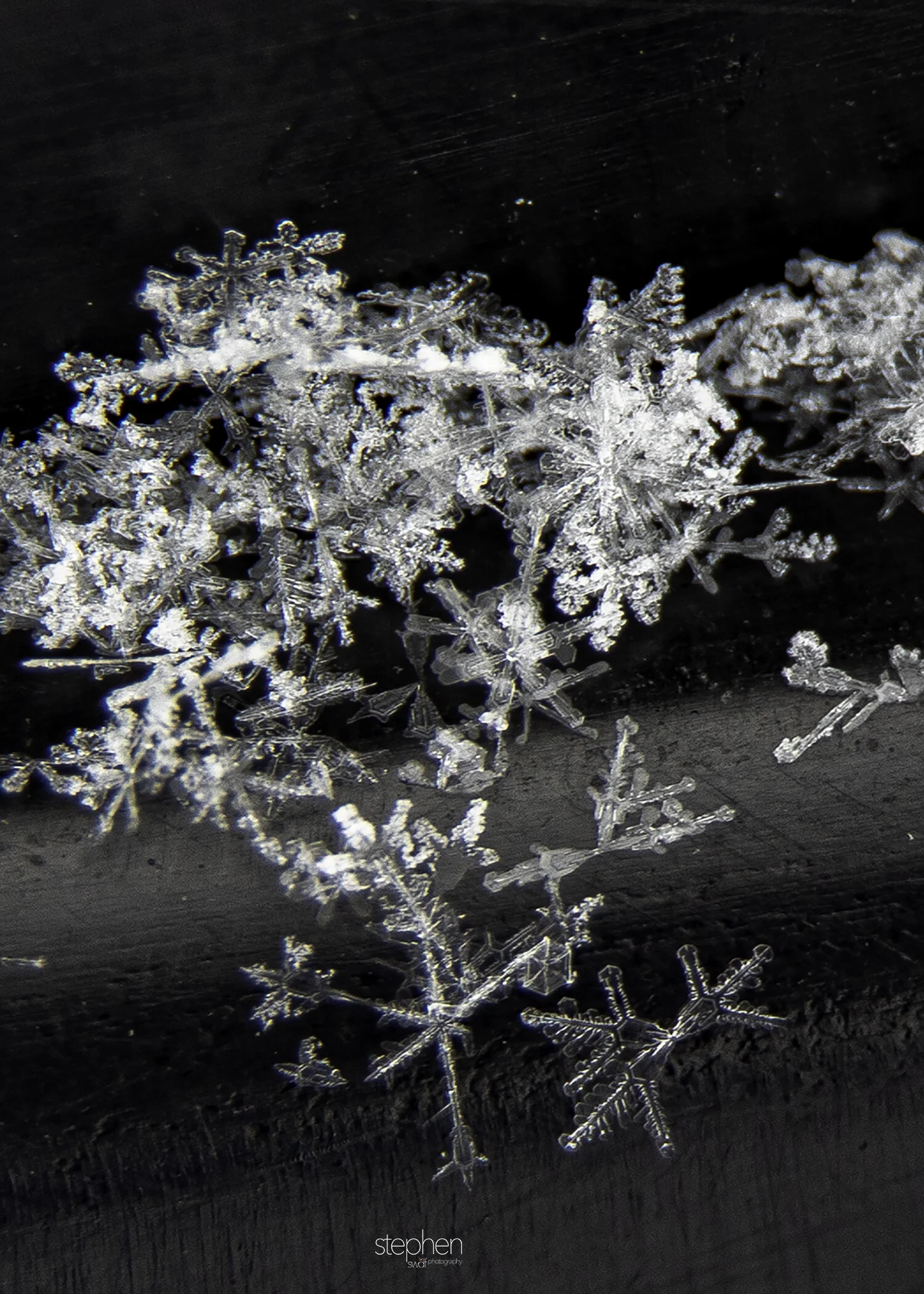 Snowflakes4.jpeg