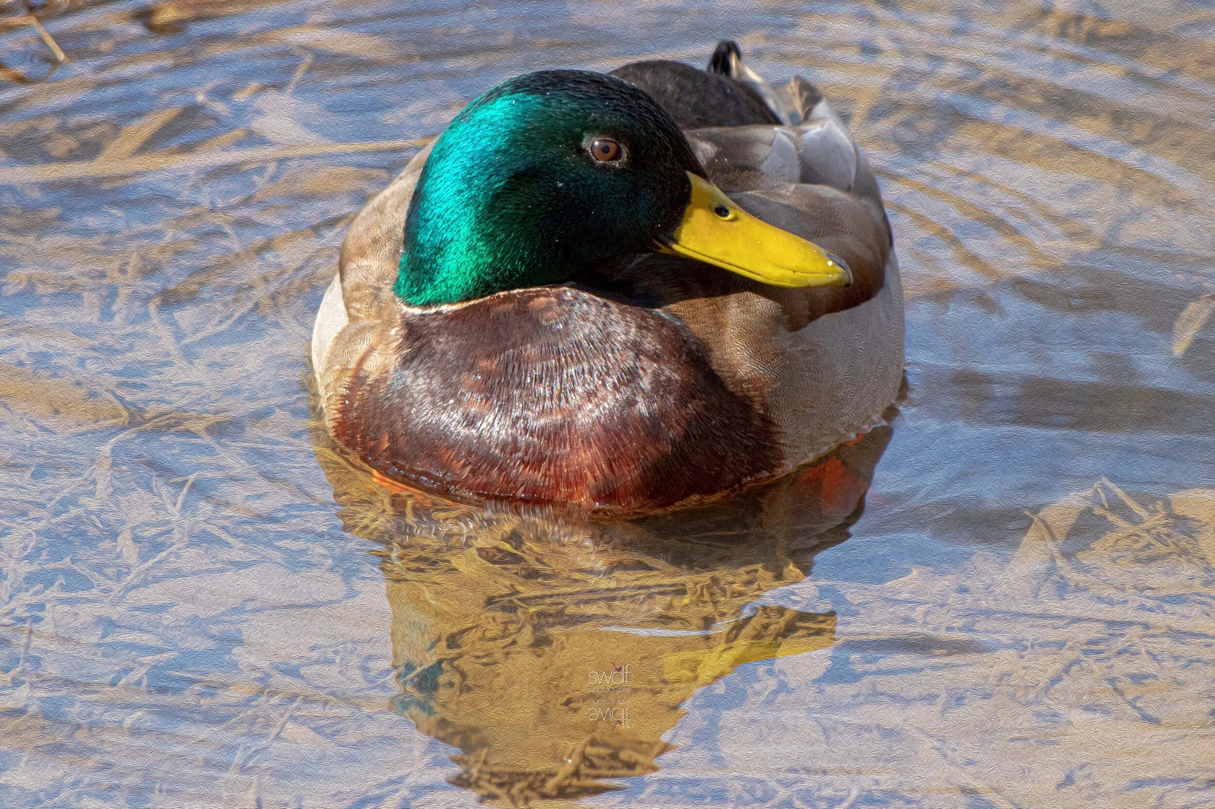 Image 3-15-21 at 12.34.jpeg