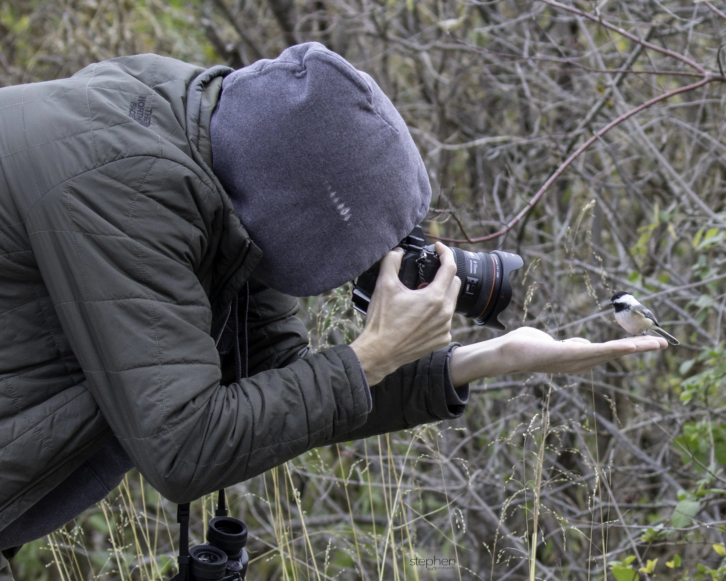 Chickadee and Sam2 - Sheldon Marsh.jpg