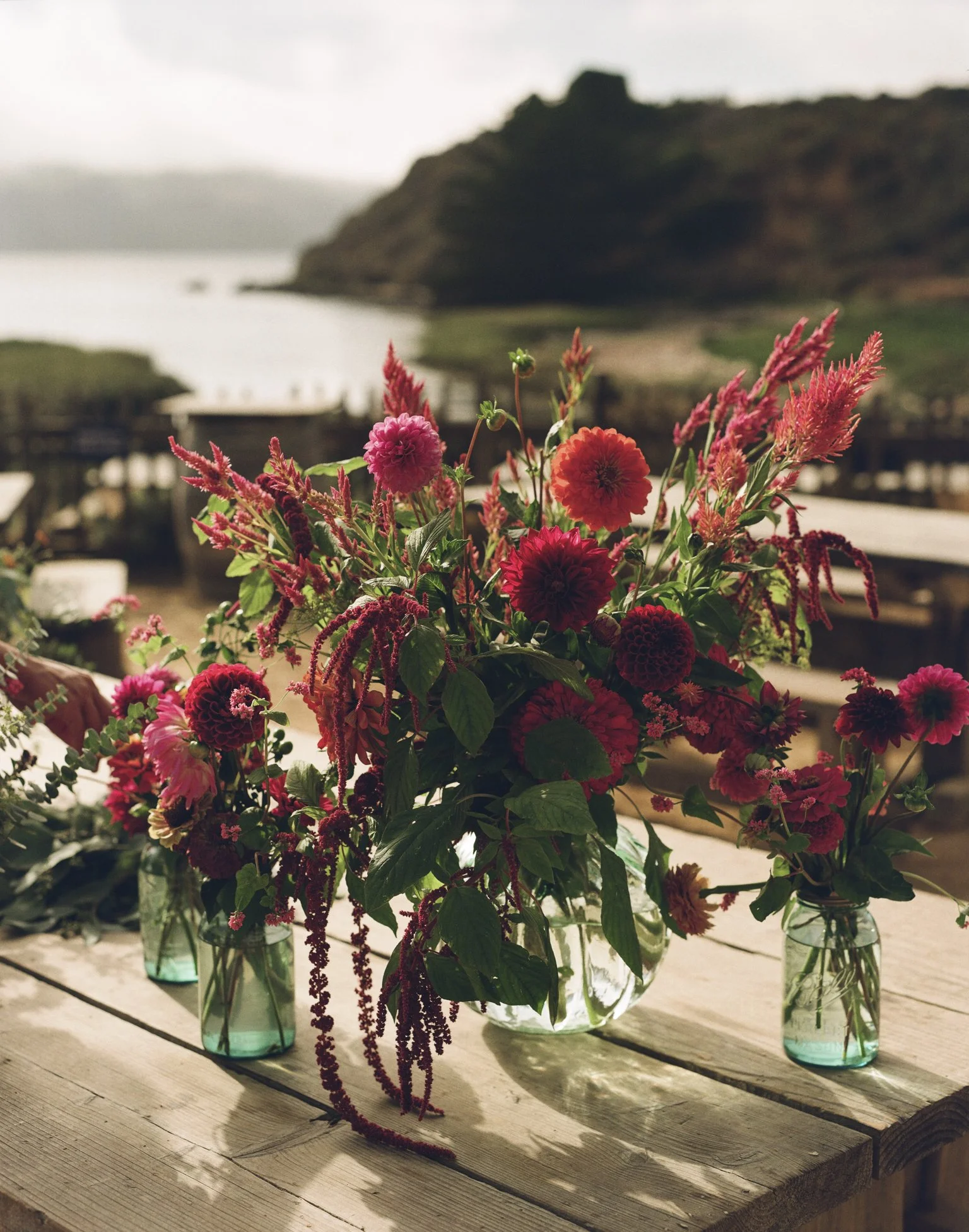 CLW_Hog_Island_Film_23_349.jpg