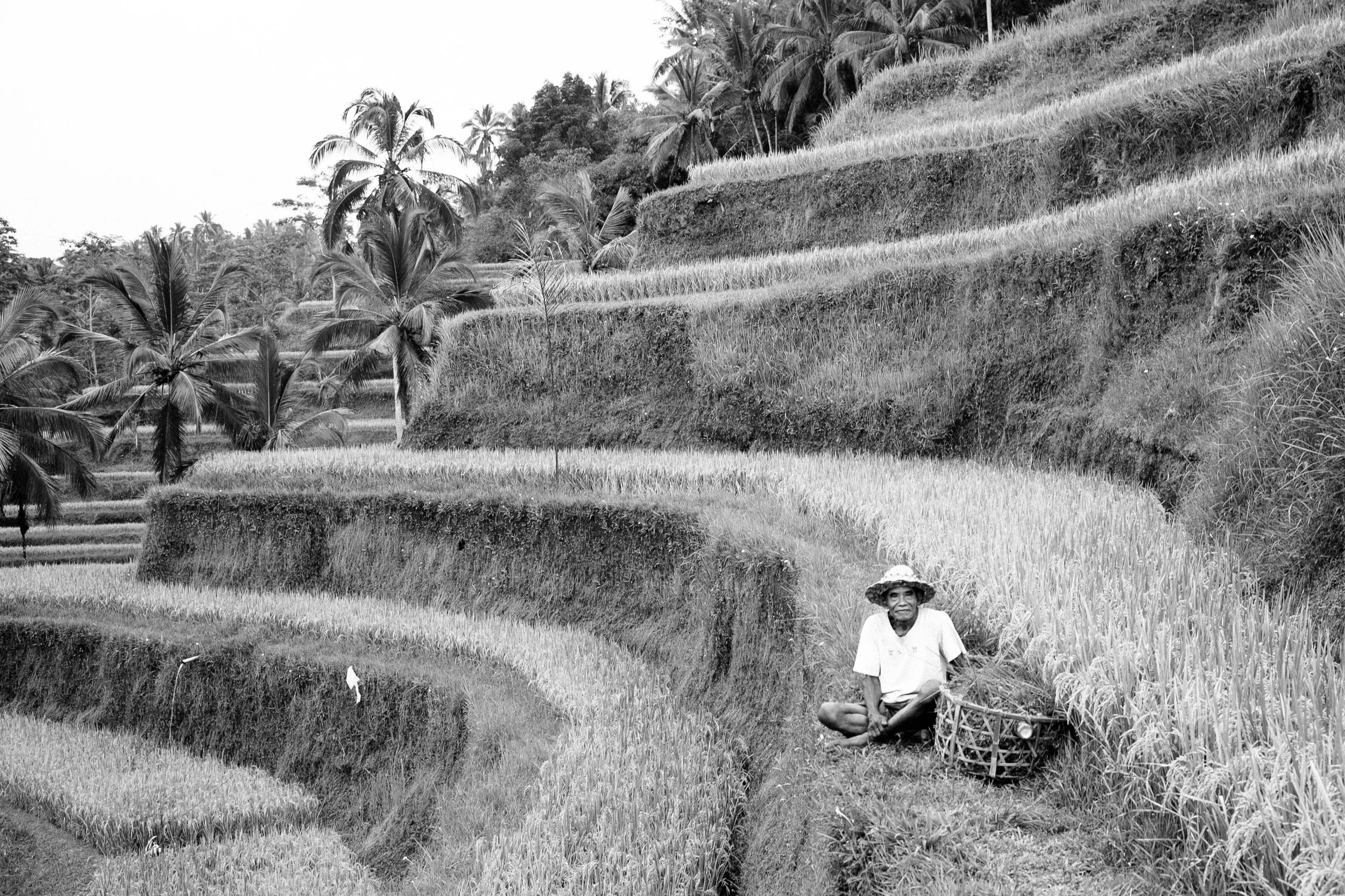 BALI-51.jpg