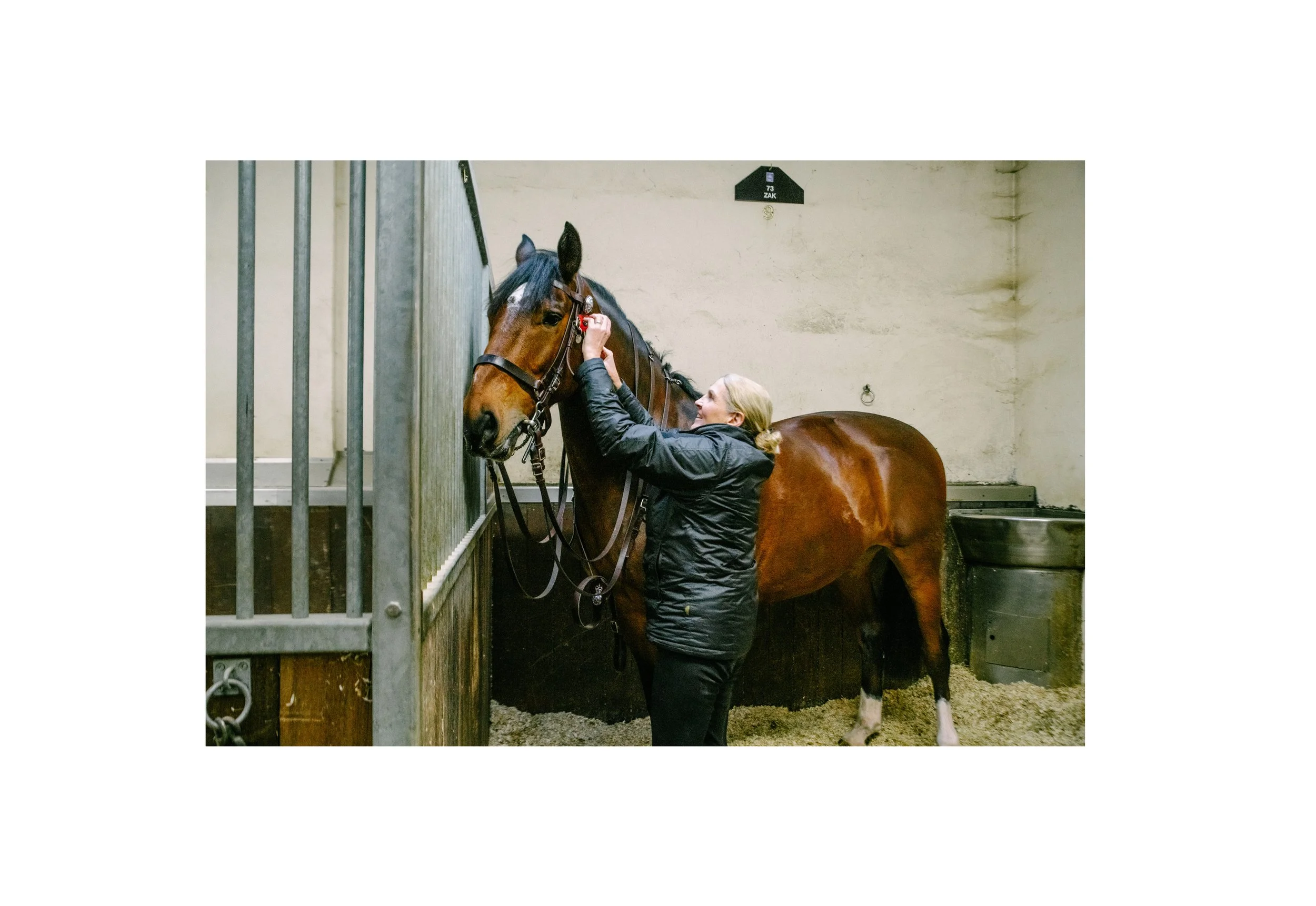 STABLE 2.jpg