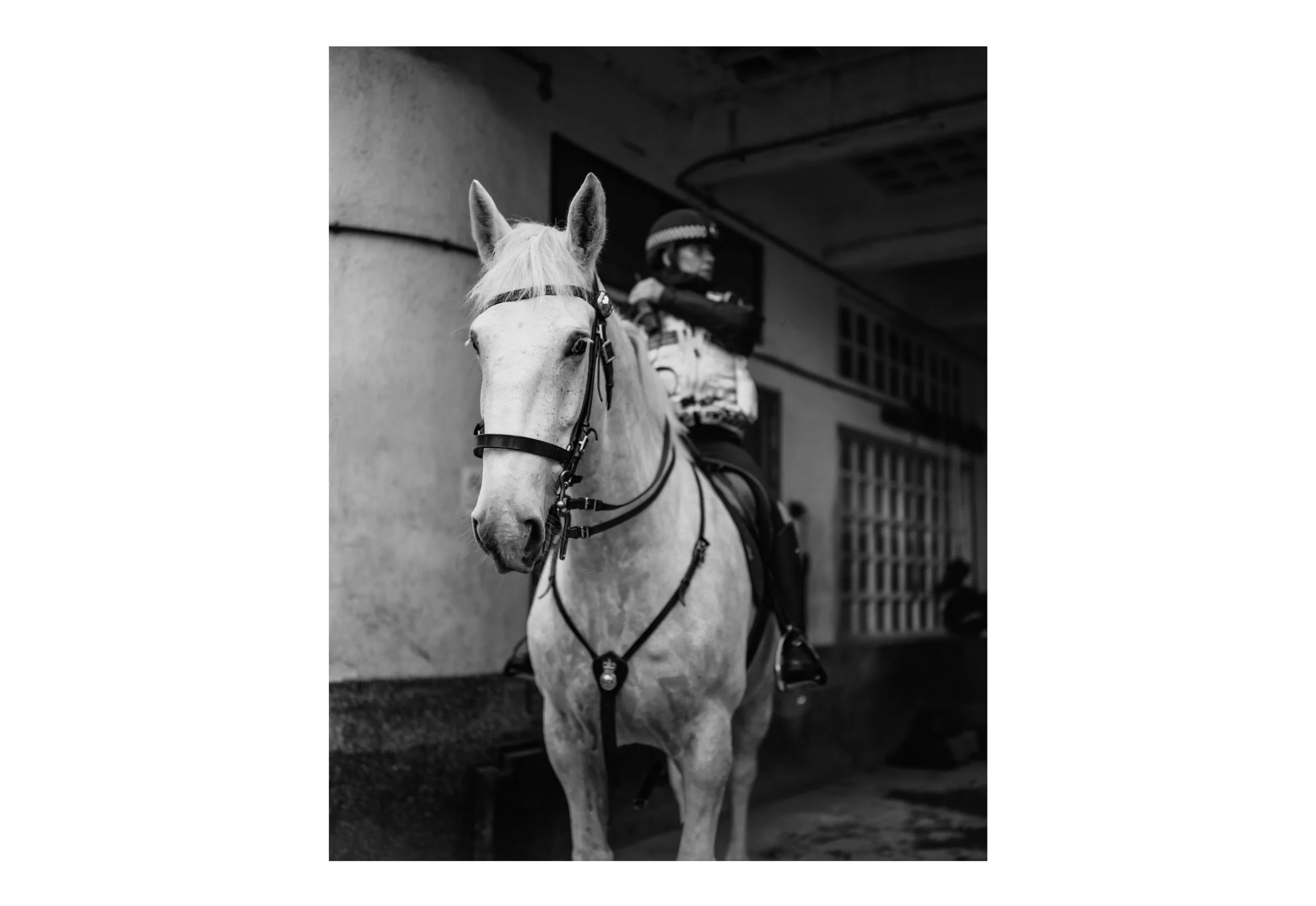 STABLE 7.jpg