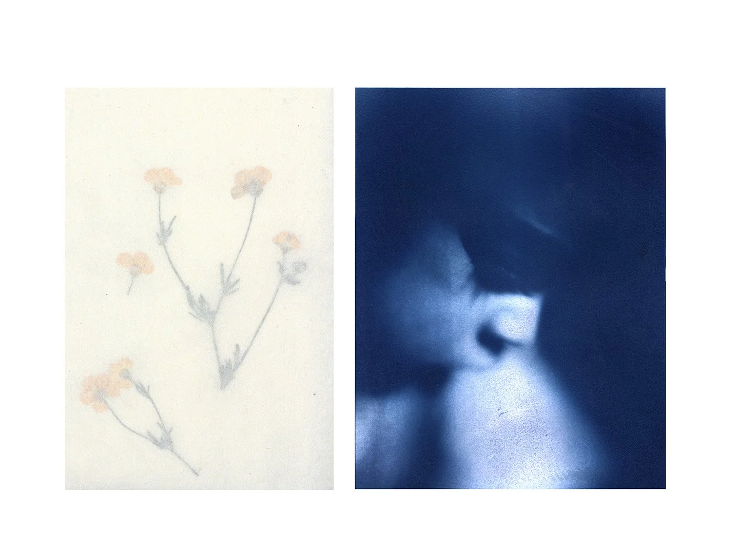Artboard 6.jpg