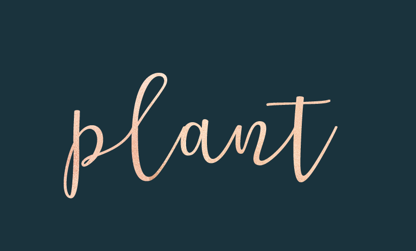Artboard 6.png