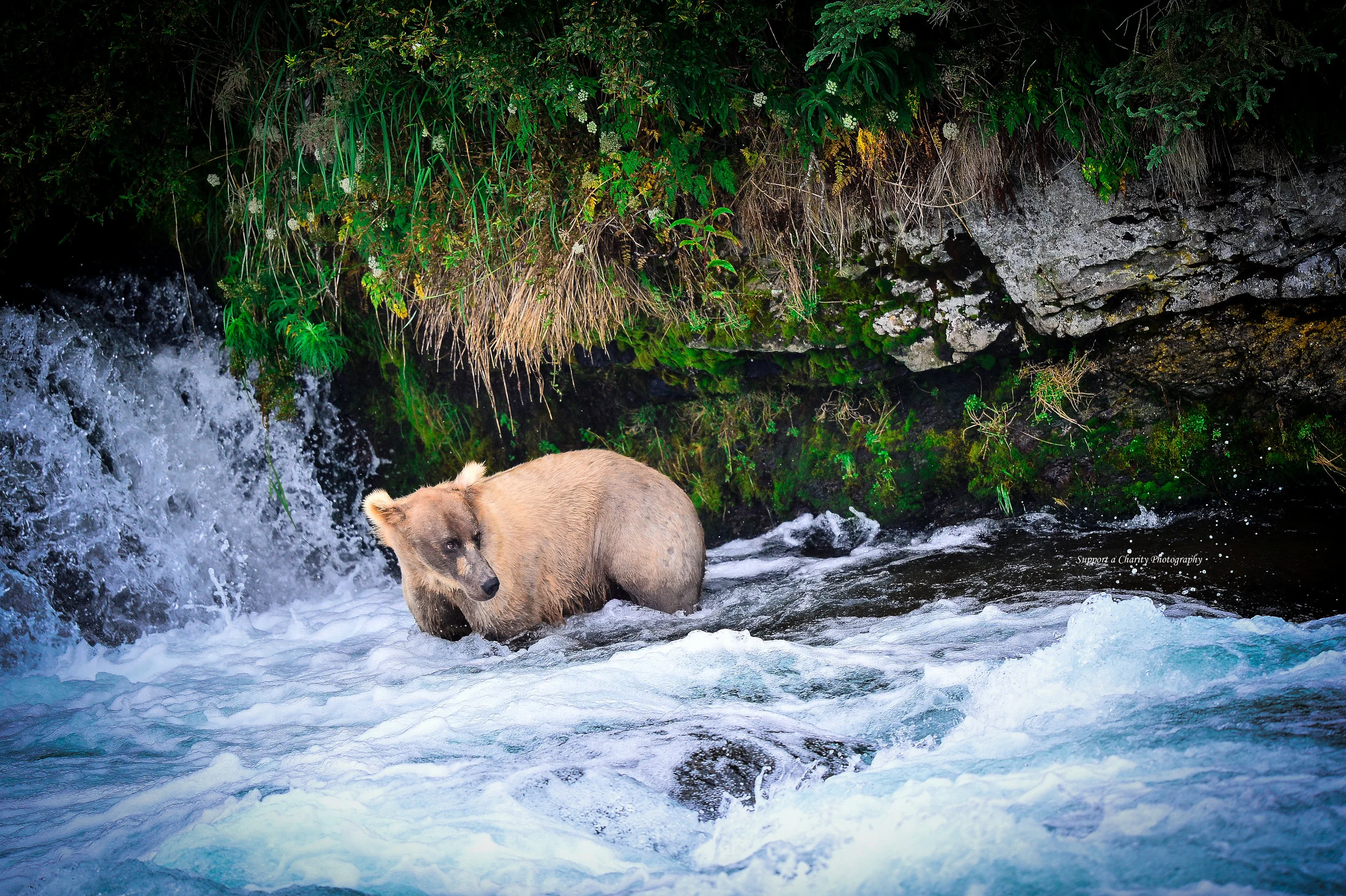 Katmai.jpg