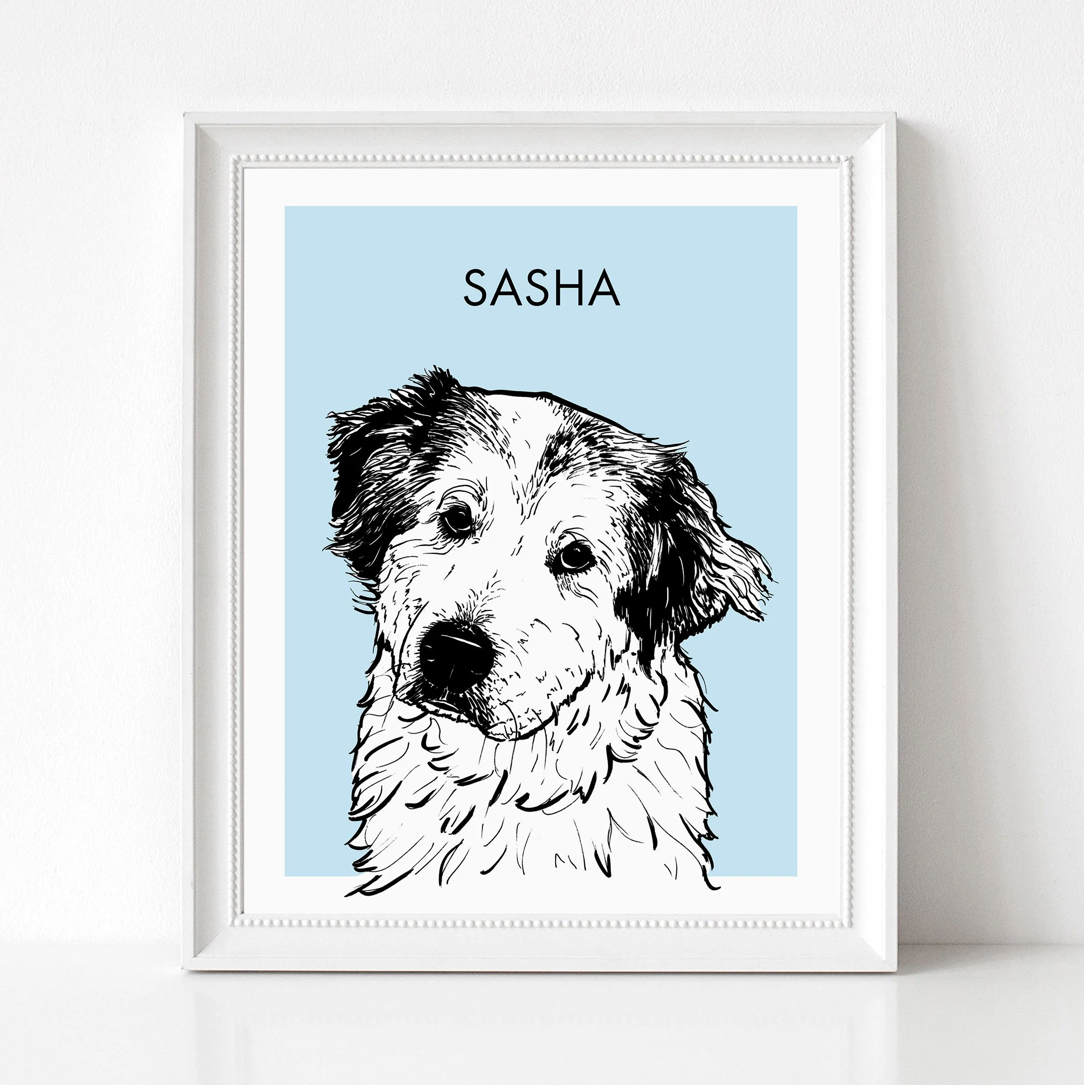 sasha_whiteframe.jpg