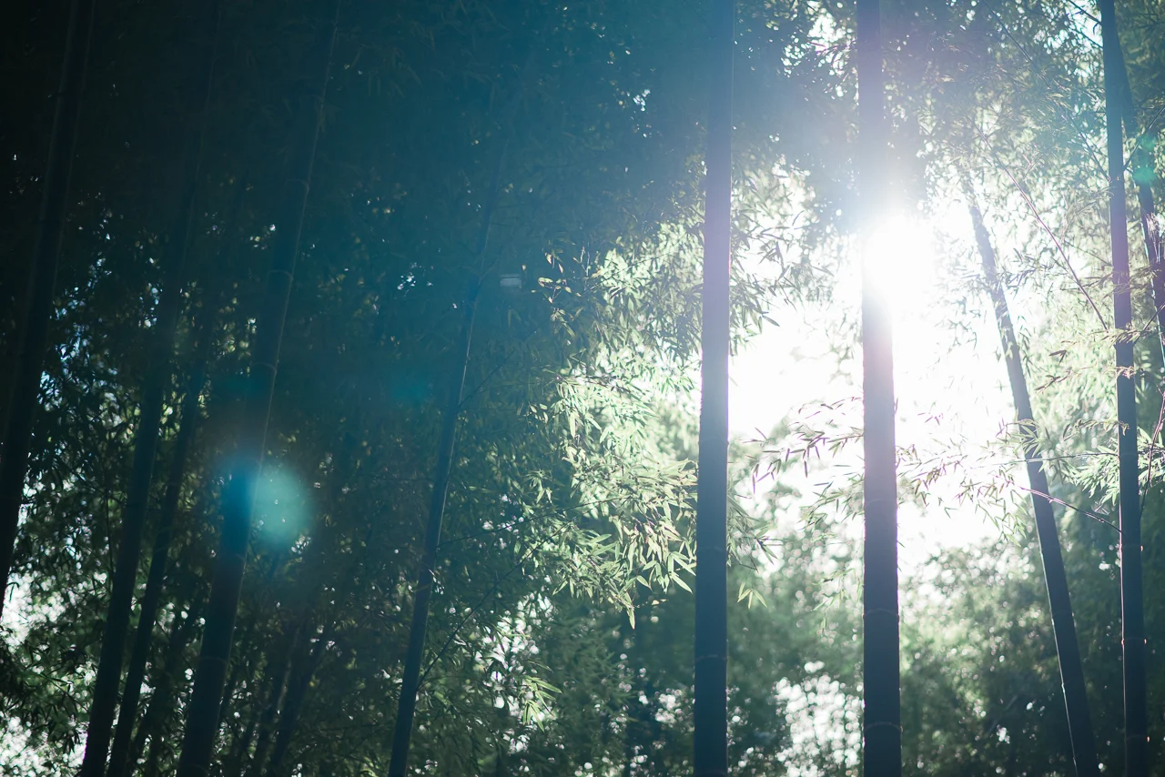 lxy_Kyoto_prewedding-1.jpg