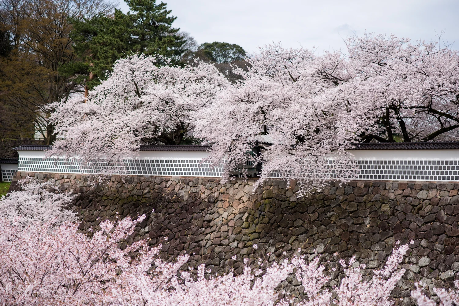 Kanazawa_japan_prewedding-7.jpg