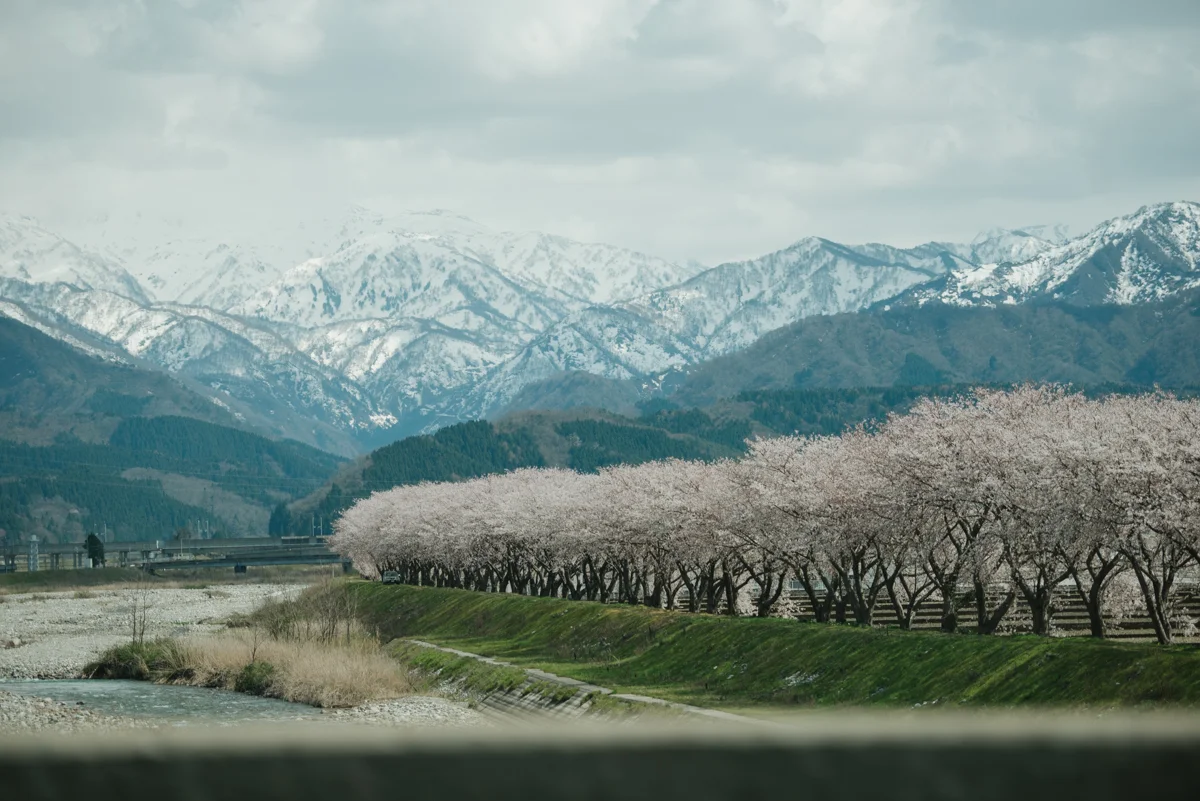 Japan_prewedding_cm-54.jpg