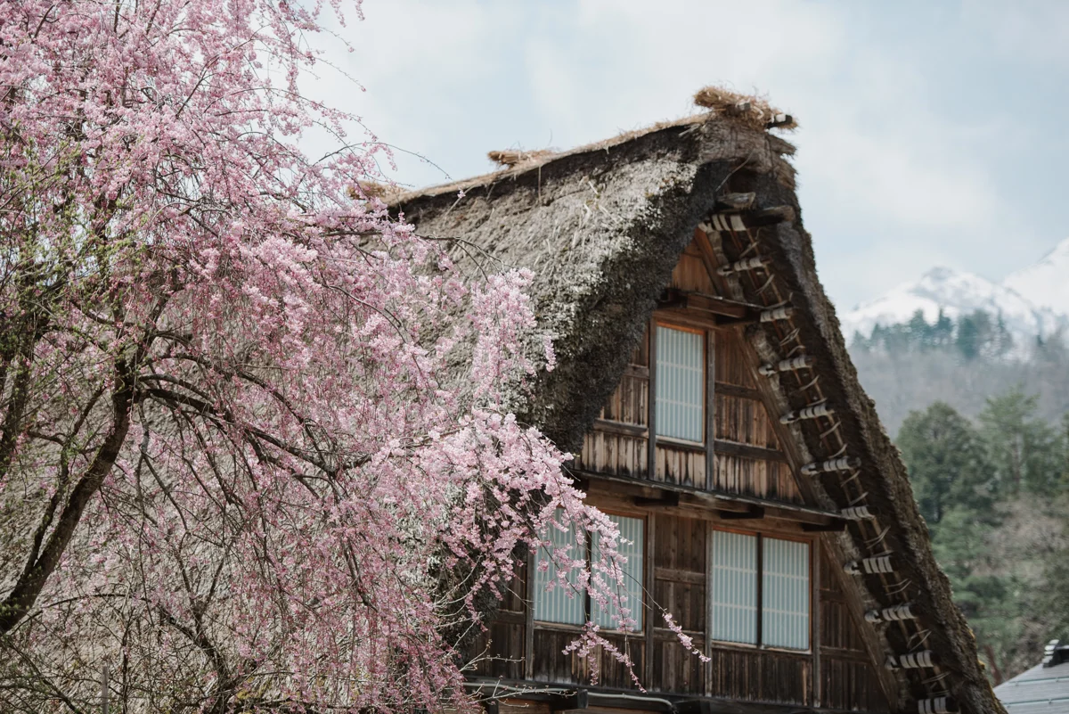 Japan_prewedding_zs-54.jpg