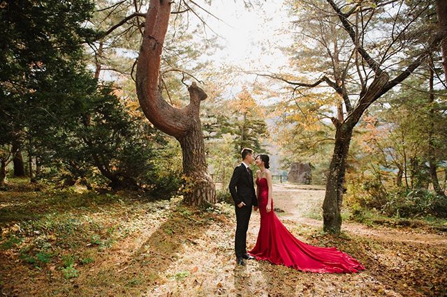 An image from a fall session this year. Fall season is slowly coming to an end. It&rsquo;s getting really cold and the first snow has fell in the mountains. Time to layer up for winter shoots. .
.
.
#preweddingjapan #japanprewedding #japan #fall #jap