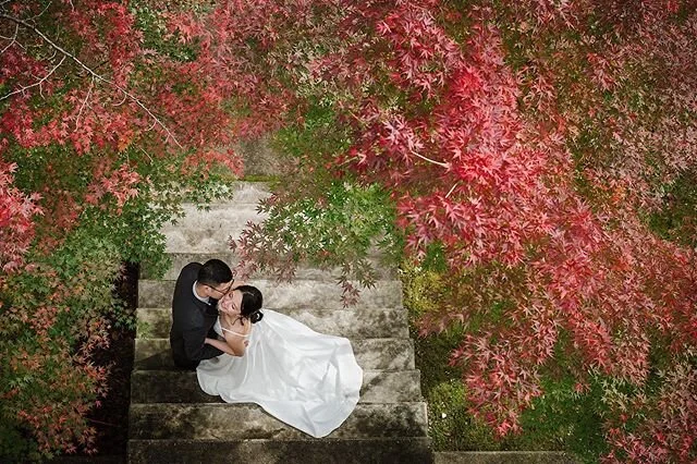 We are slowly coming to the end of the year, moving into mid winter. It&rsquo;s been relatively warm compared to past years so I have no complaints.  Leaving you with a n image from the cozy fall.