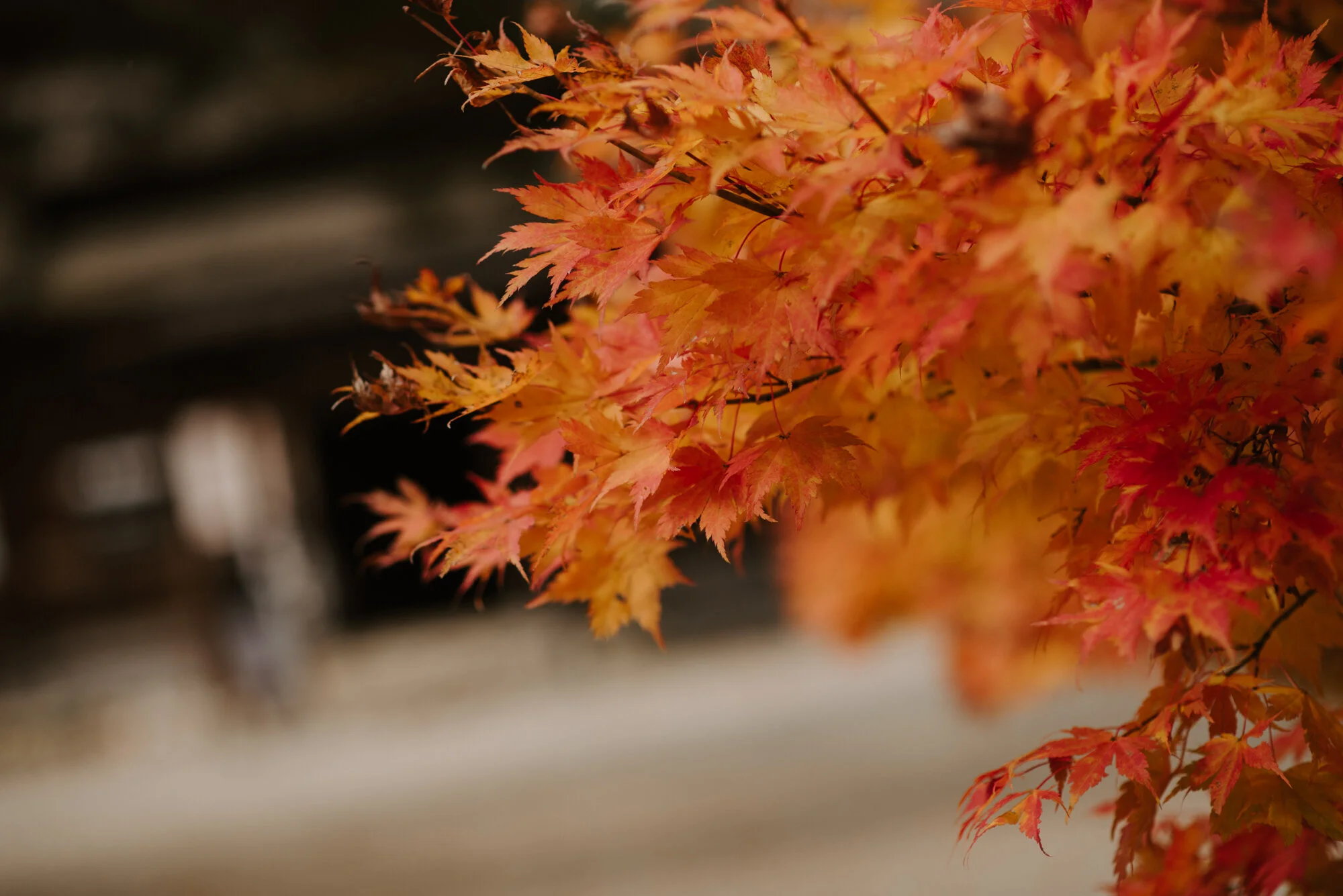 prewedding_japan_yeblog-39.jpg