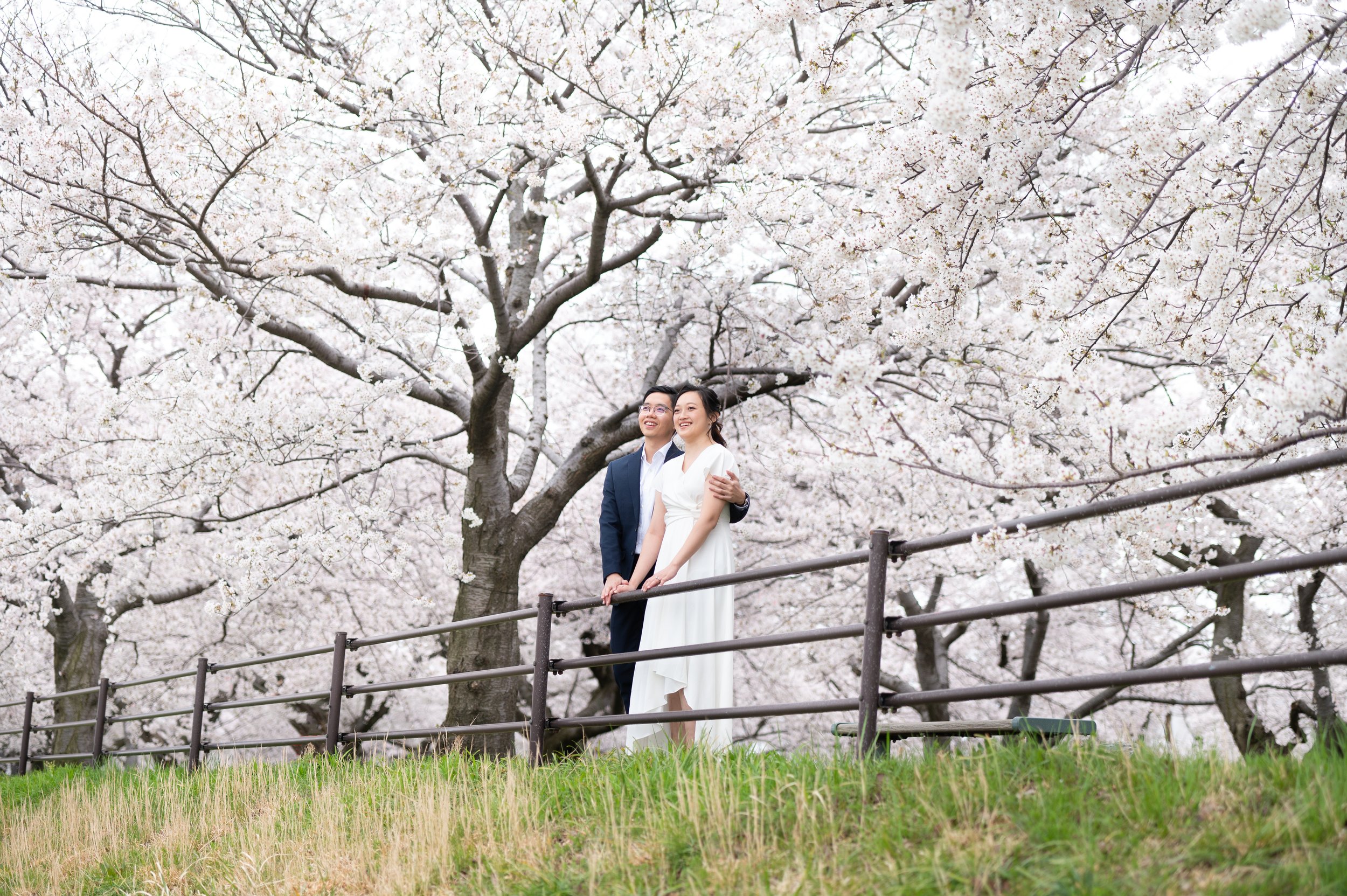 A Pre-Wedding Photo Shoot in Toyama Prefecture: From Blossoms to the Sea