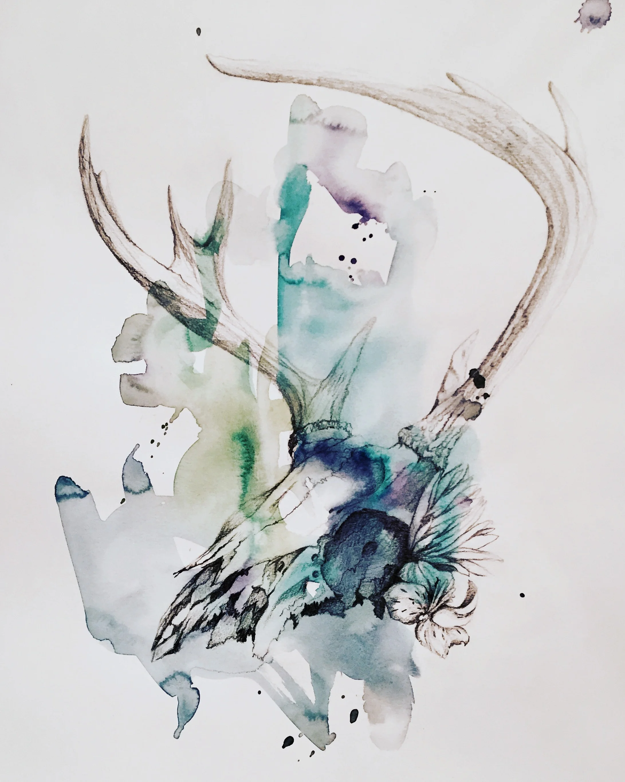 Dream of the Buck 2018