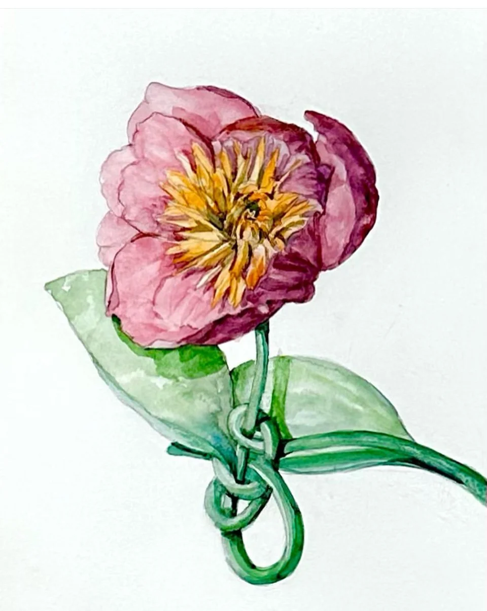 Clove Hitch Knot and Rose of Sharon