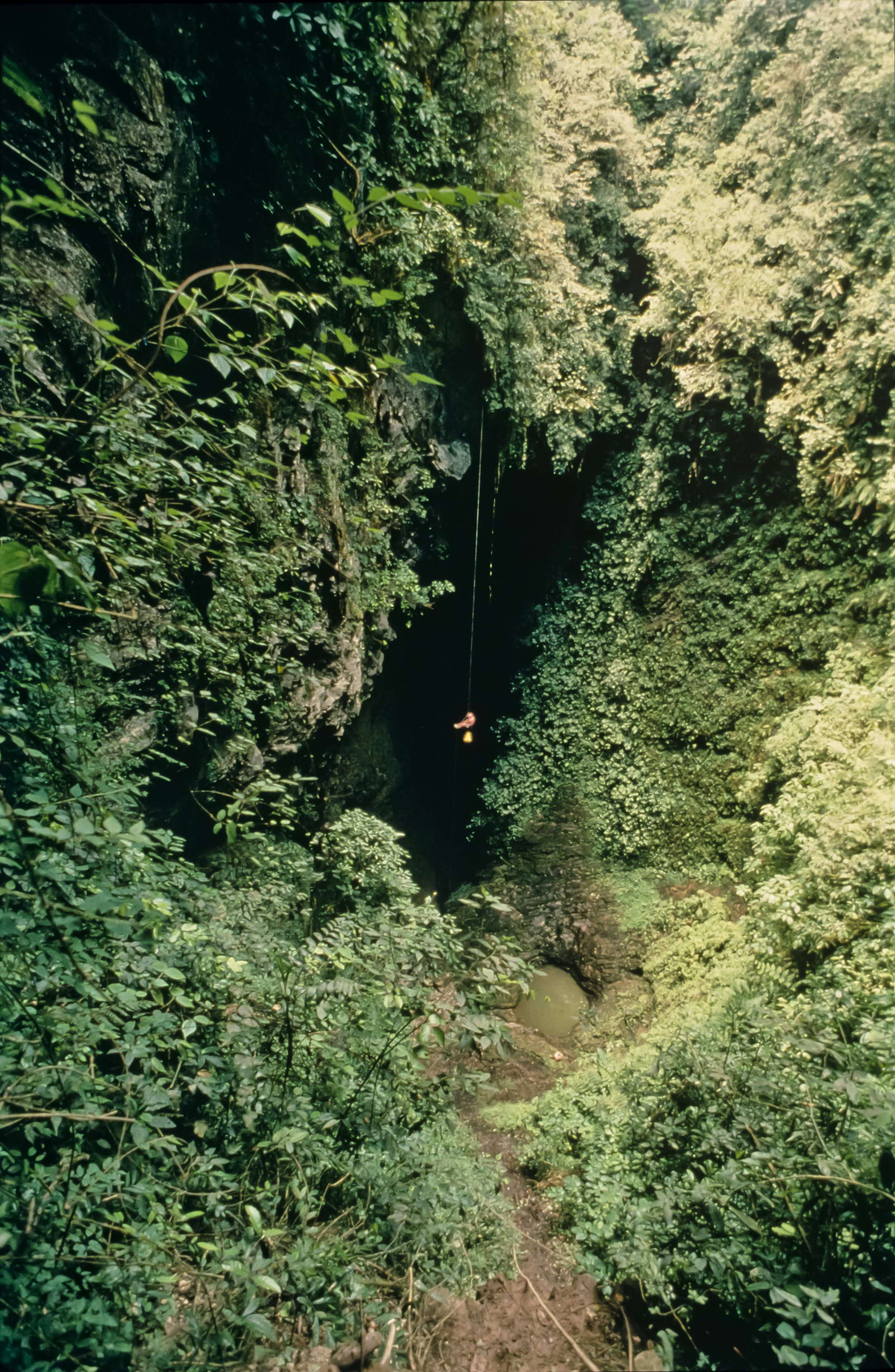  Like a spider dangling from a thread, Noel Sloan drops into the entrance shaft of the Sotano de San Agustin. Photo by U. S. Deep Caving Team/Wes Skiles. 