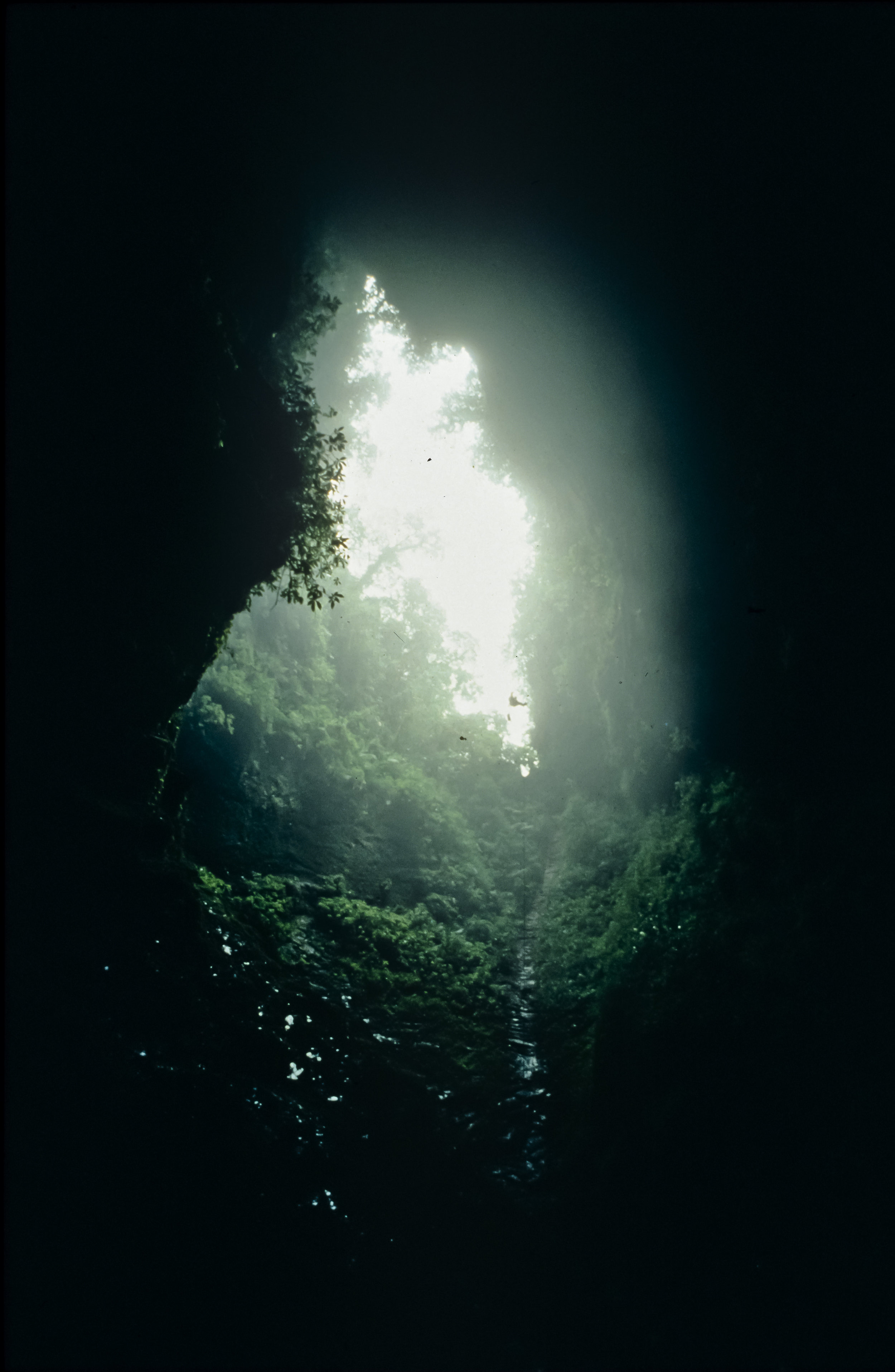  The next three slides are a progression leading further down the twin 90m entrance shafts. This slide shows Noell Sloan descending the first pitch. Photo by U. S. Deep Caving Team/Wes Skiles. 