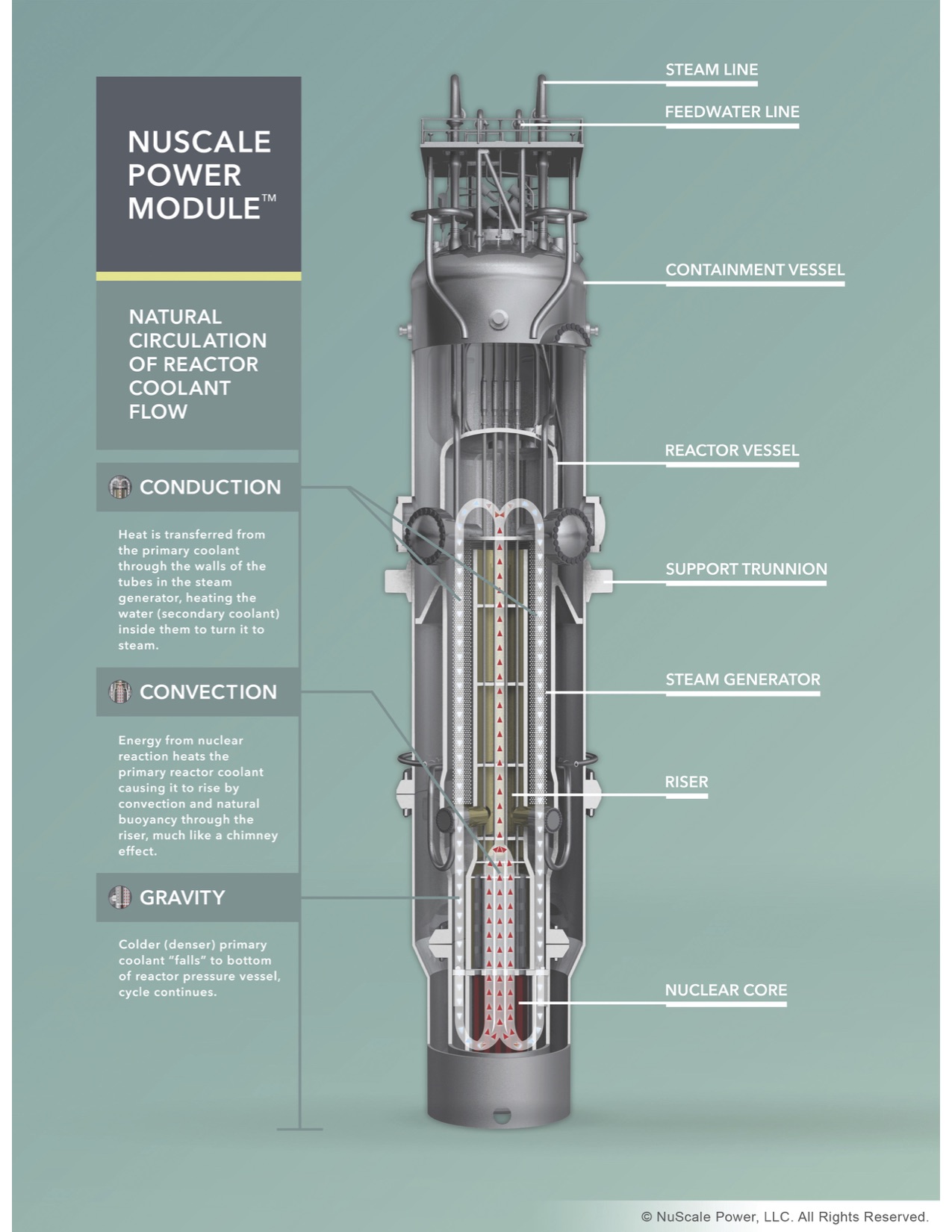 NuScale 50 MWe light water reactor. Passively cooled SMR.