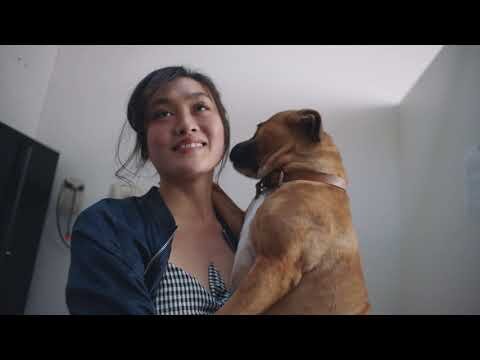 SEEK Presents : Small Change - Lort Smith (16x9)