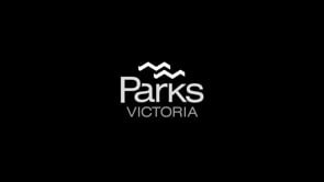 Parks Victoria - Tall Forests - FInal 30 sec MASTER 4K 190722