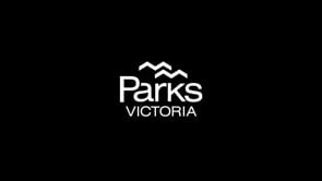 Parks Victoria - Tall Forests - FInal 60 sec MASTER 4K 190722