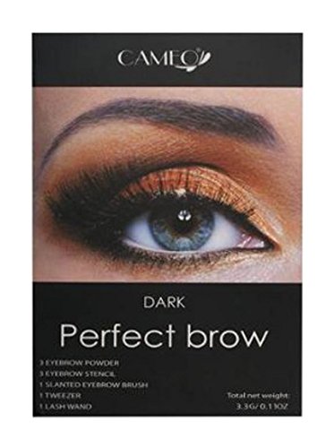 Eye Brow Filler Kit