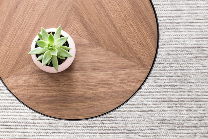 Sia_Side_Table_Styled_above_Project82.jpg