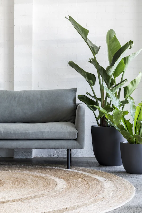 Louis_Sofa_Dune_Styled4_Gunmetal_Project82.jpg