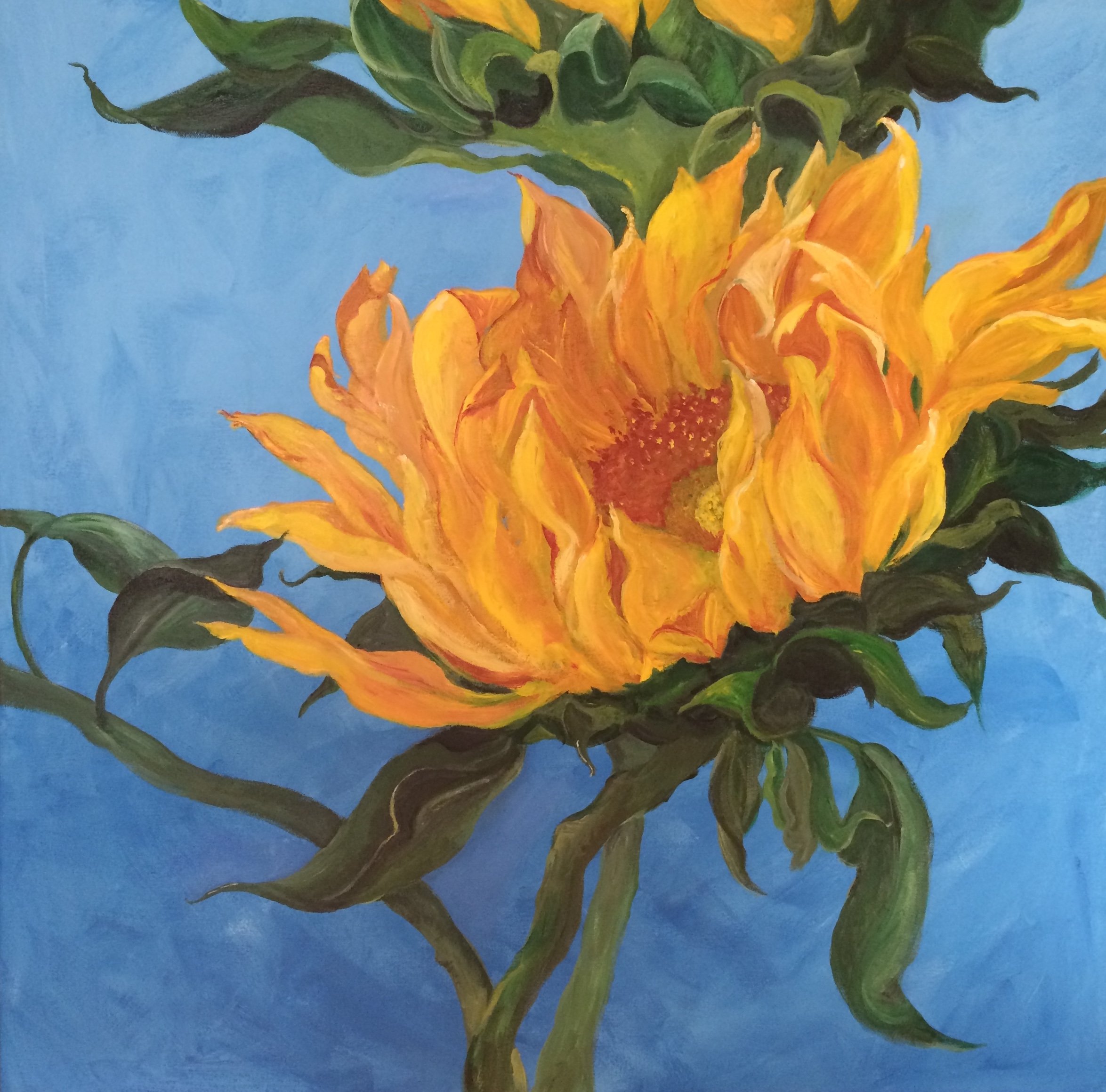 Elizabeth Delap Sunflower 36 x36 .jpeg