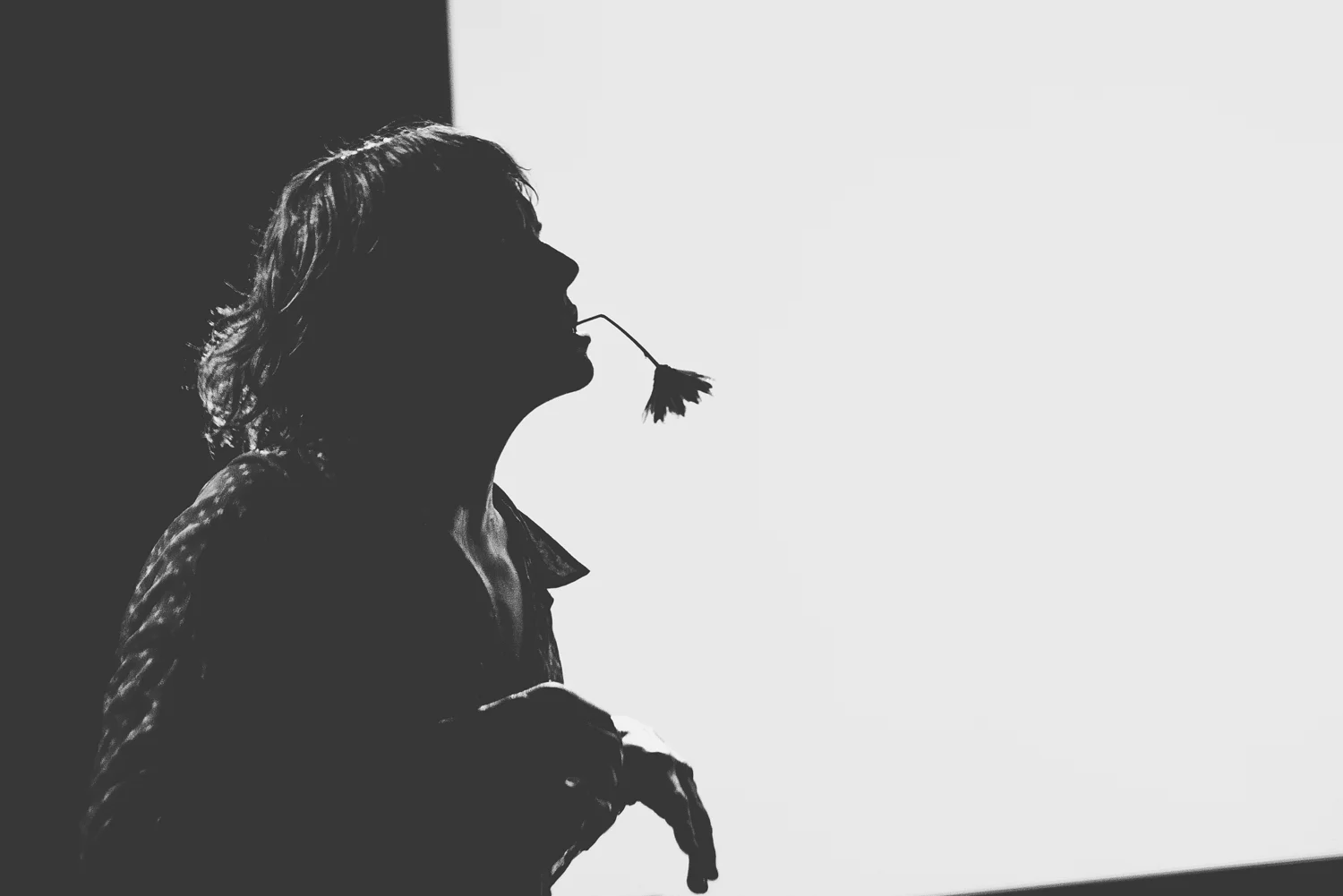 Pond • US Tour • Photo Gallery