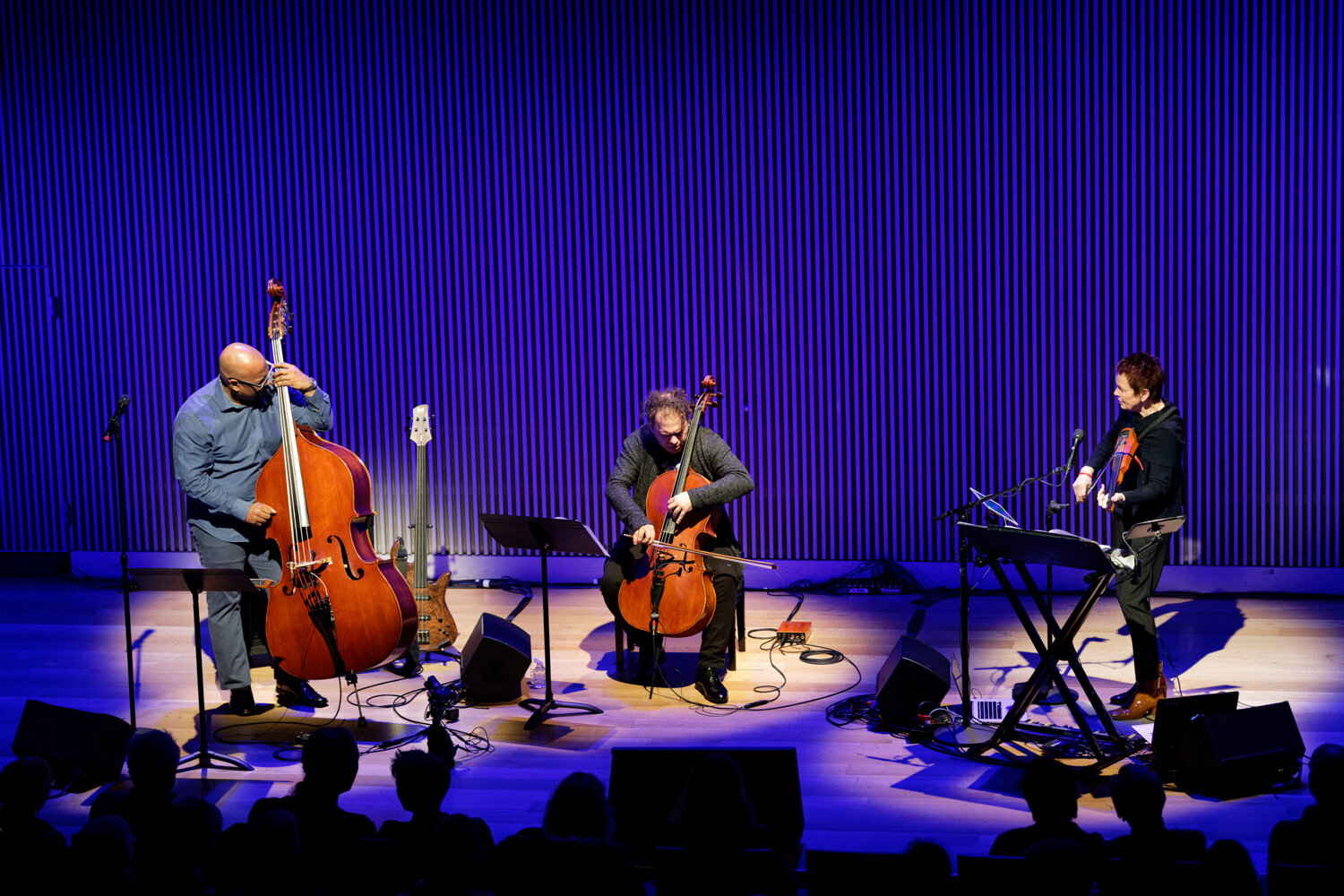Laurie Anderson Trio