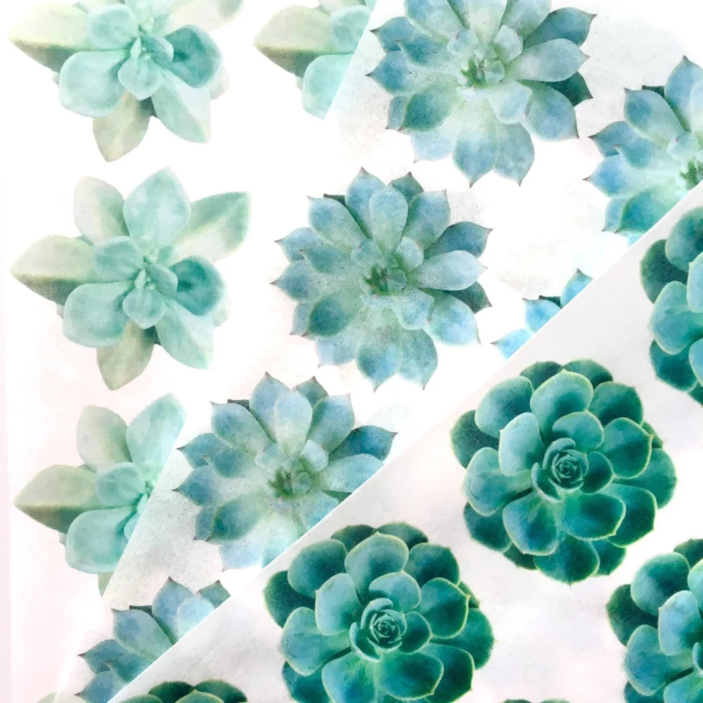 Edible Wafer Paper Succulents--3 sheets  The CookieMonger Edible  Butterflies, Embossing Sheets, and Edible Drink and Cupcake Toppers