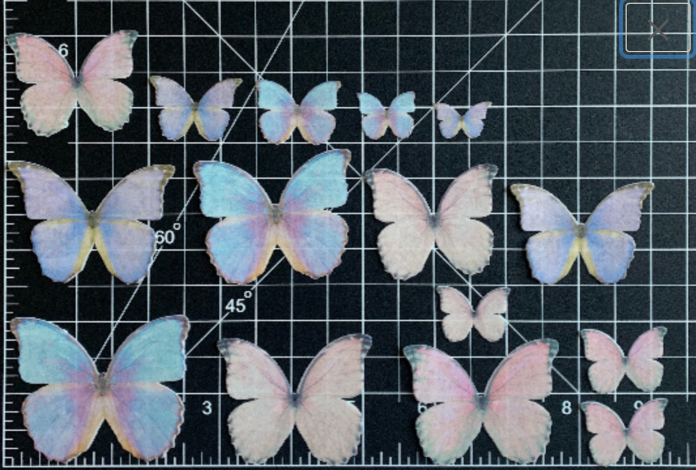 Shimmery Iridescent Pastel Combo Wafer Paper Edible Pre-Cut 3D Butterflies--14  Mixed Edible Butterflies — The CookieMonger Edible Butterflies, Embossing  Sheets, and Edible Drink and Cupcake Toppers