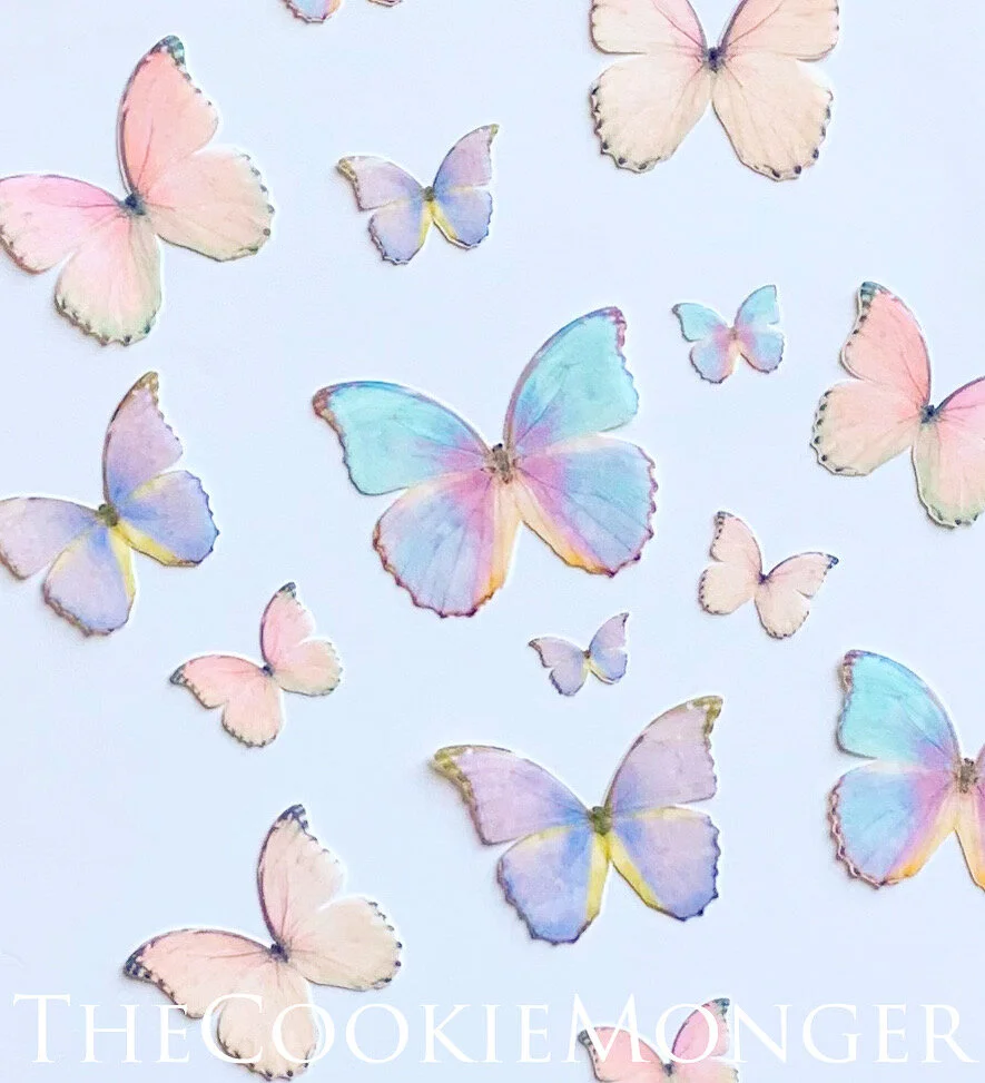 7CF215AF-6F70-480F-83B3-8576B116C06F 2.JPG