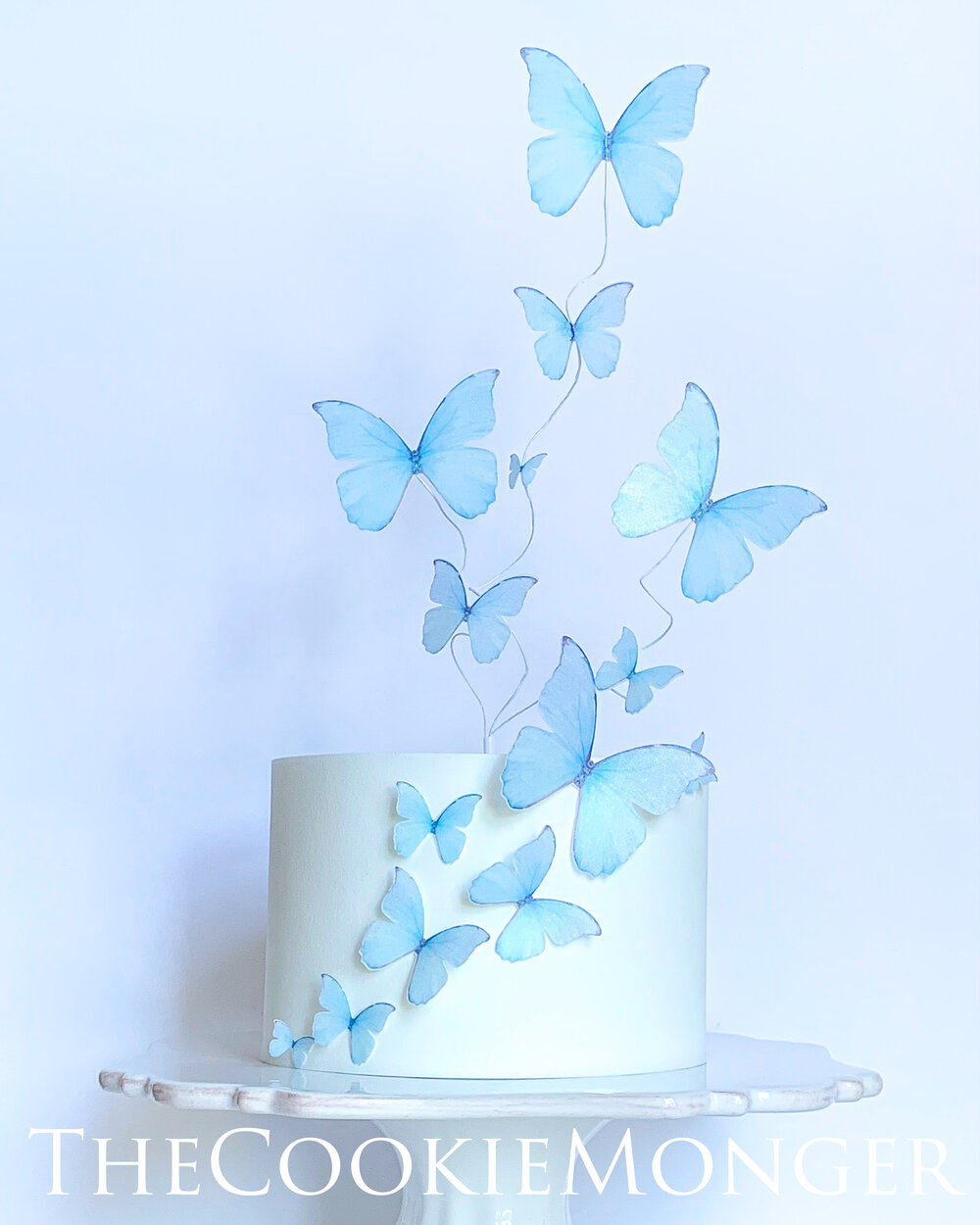 Shimmery Iridescent Pastel Combo Wafer Paper Edible Pre-Cut 3D Butterflies--14  Mixed Edible Butterflies — The CookieMonger Edible Butterflies, Embossing  Sheets, and Edible Drink and Cupcake Toppers