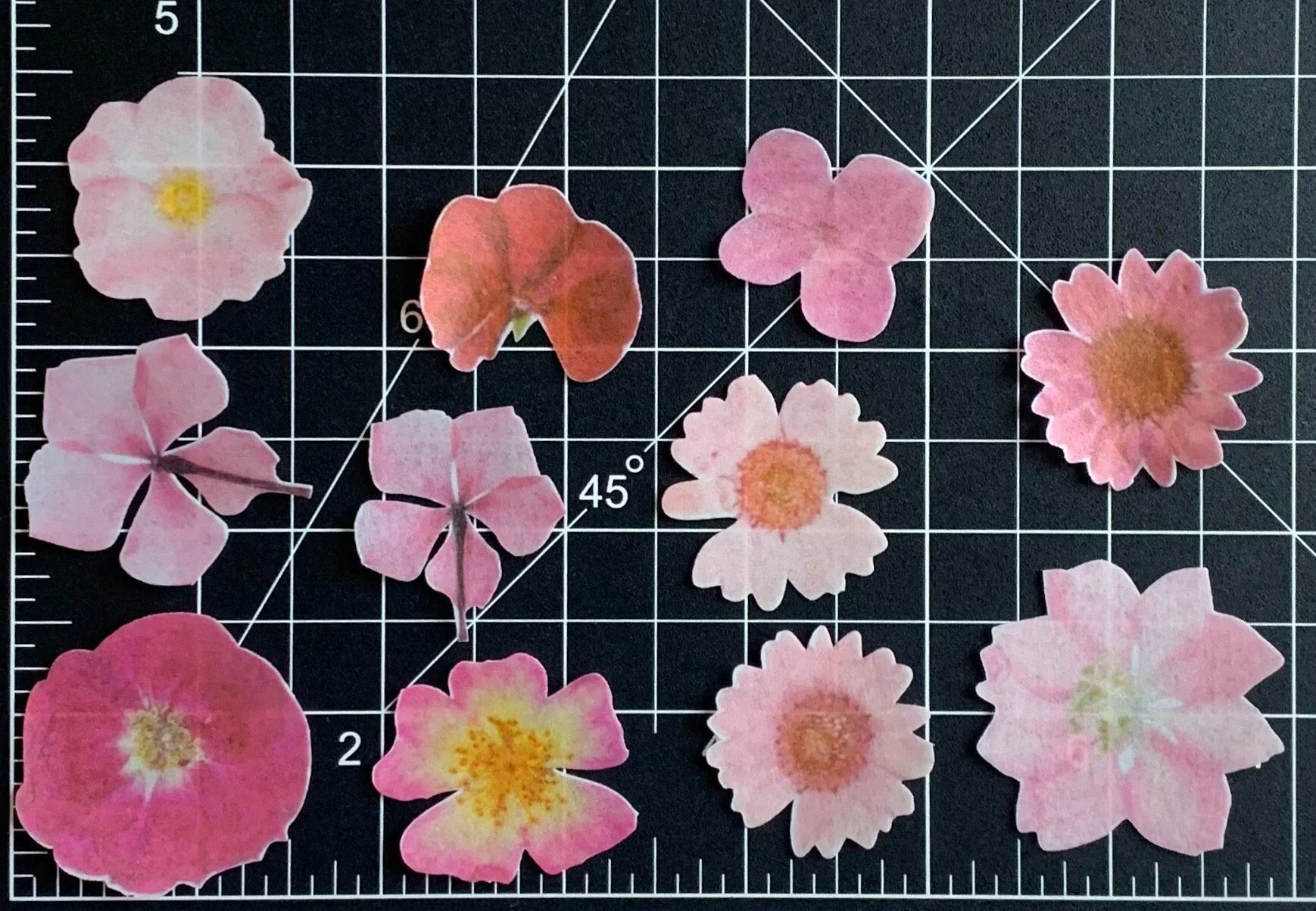 https://i.etsystatic.com/8298728/r/il/539219/5030893642/il_fullxfull.5030893642_q8p4.jpg