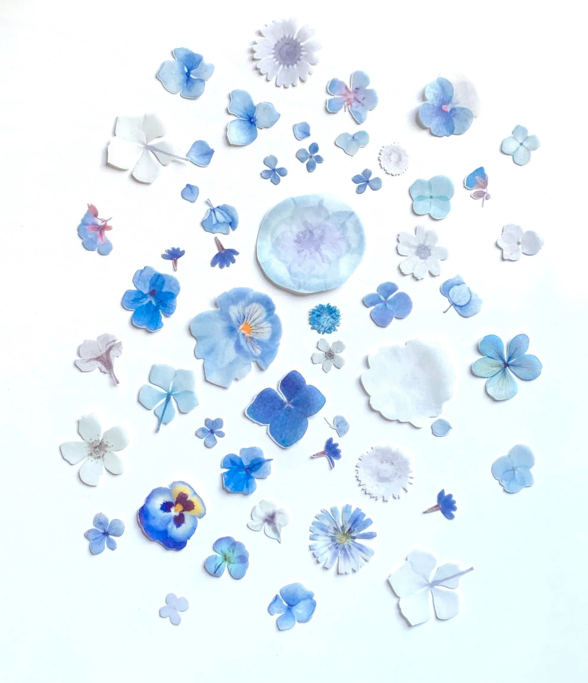 https://i.etsystatic.com/8298728/r/il/1ef212/3833098975/il_fullxfull.3833098975_rb6z.jpg