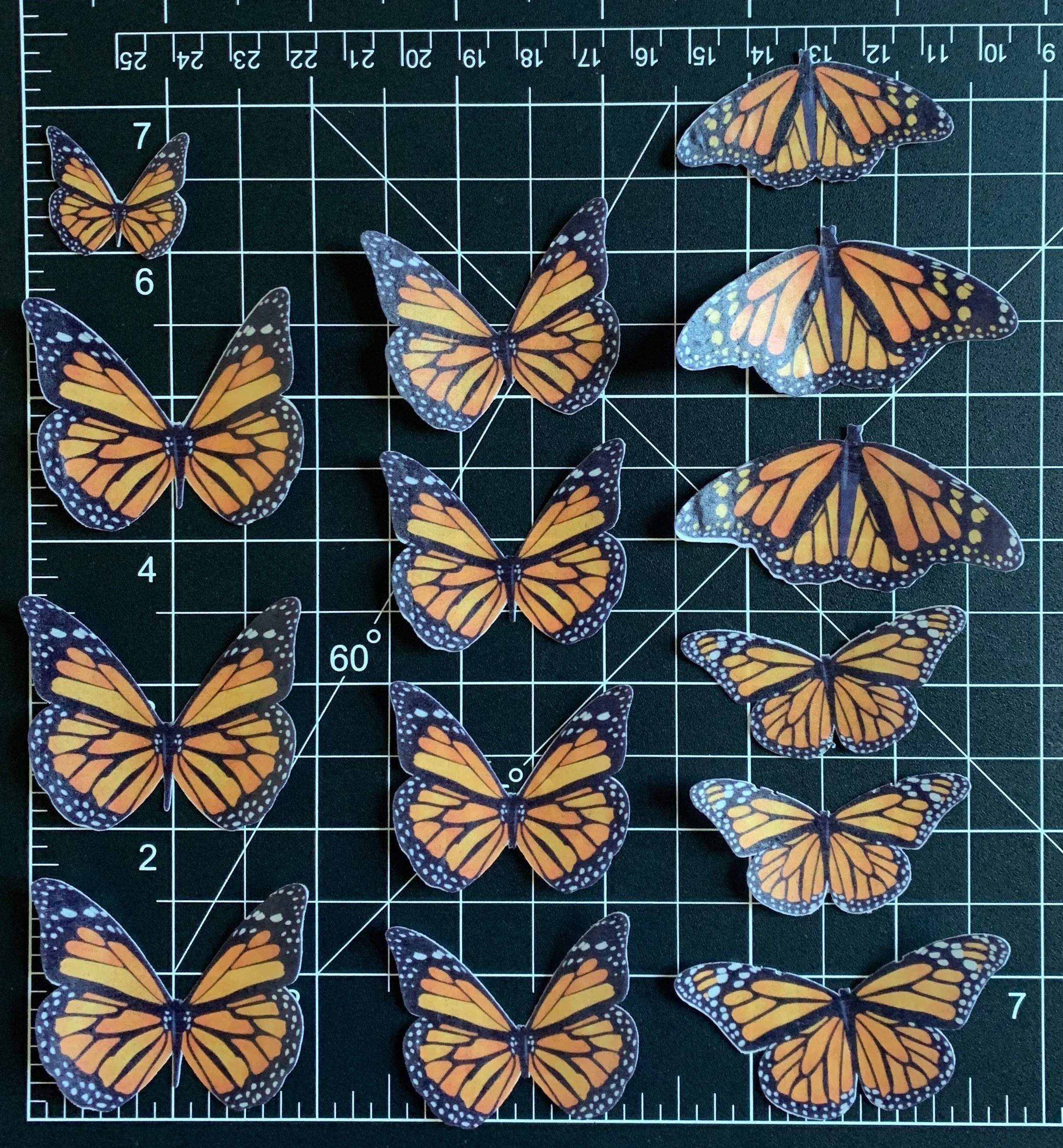 https://i.etsystatic.com/8298728/r/il/1a69ba/3501102196/il_fullxfull.3501102196_gfjo.jpg