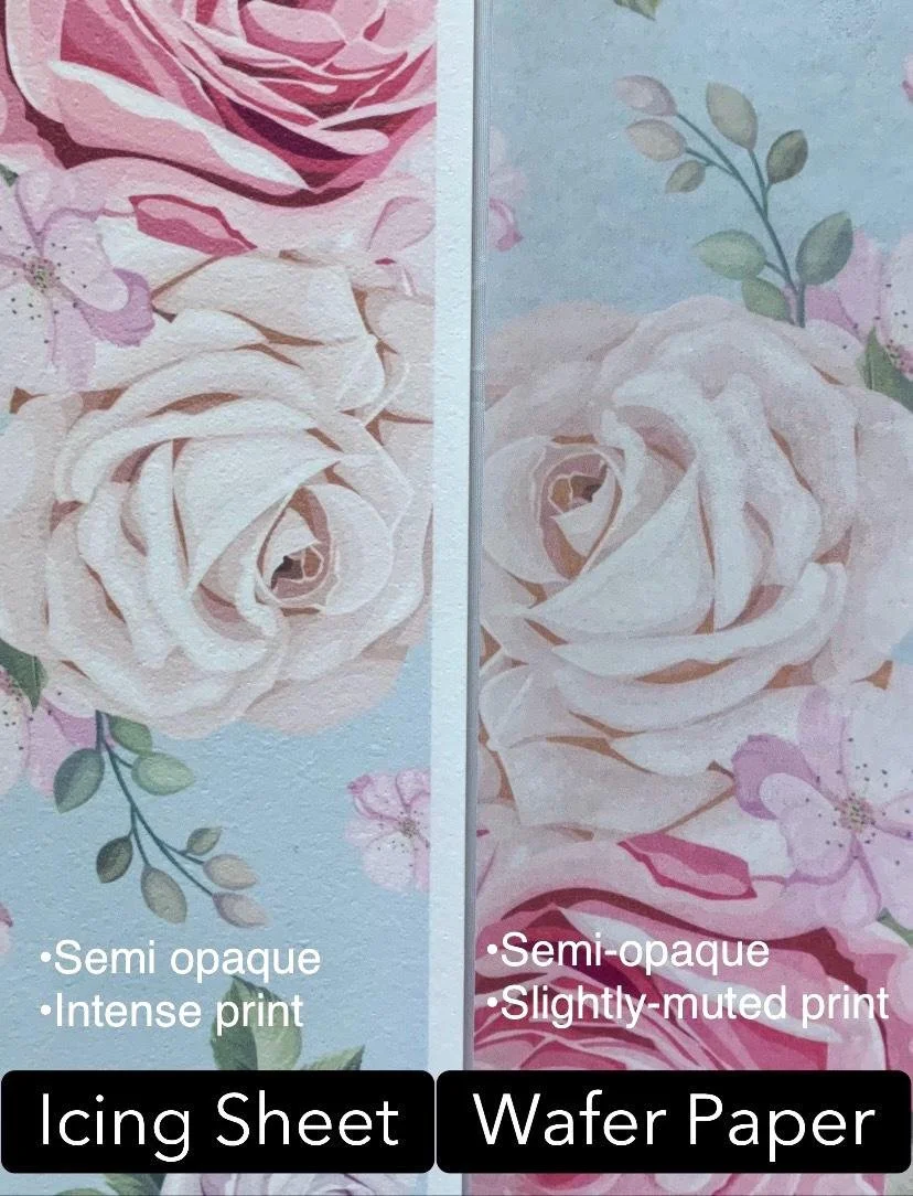 https://i.etsystatic.com/8298728/r/il/127a47/6240300934/il_fullxfull.6240300934_npq3.jpg