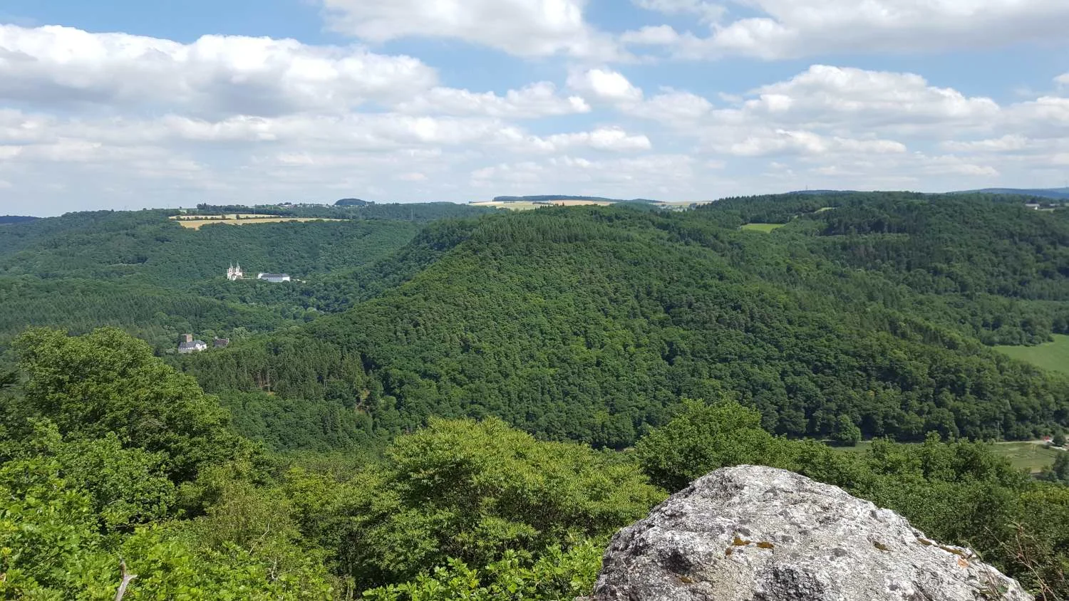 20170626_145504.JPG