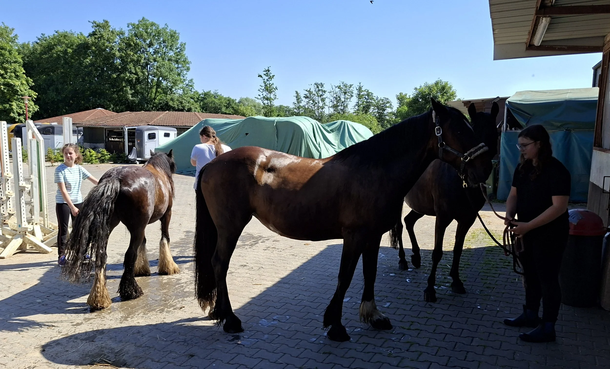 20260622 Sporttag (10)_01.JPG