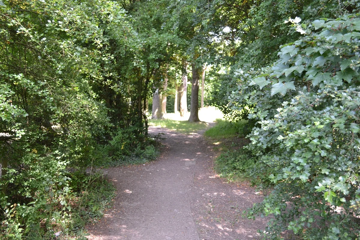 4607131859.jpg