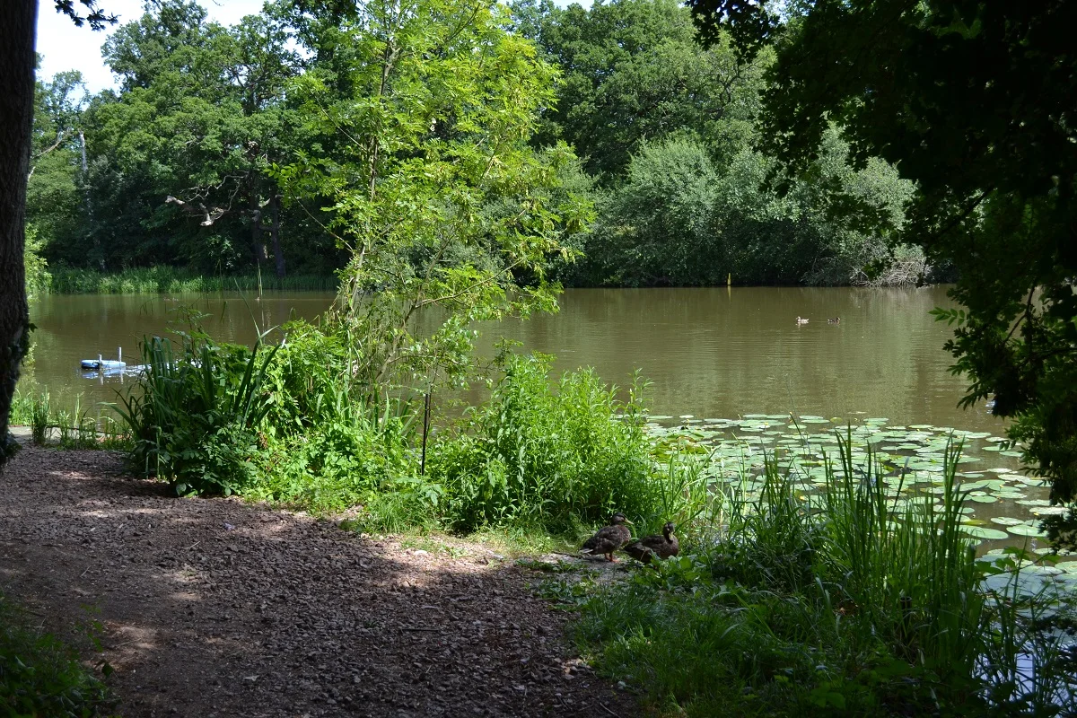 4607131876.jpg