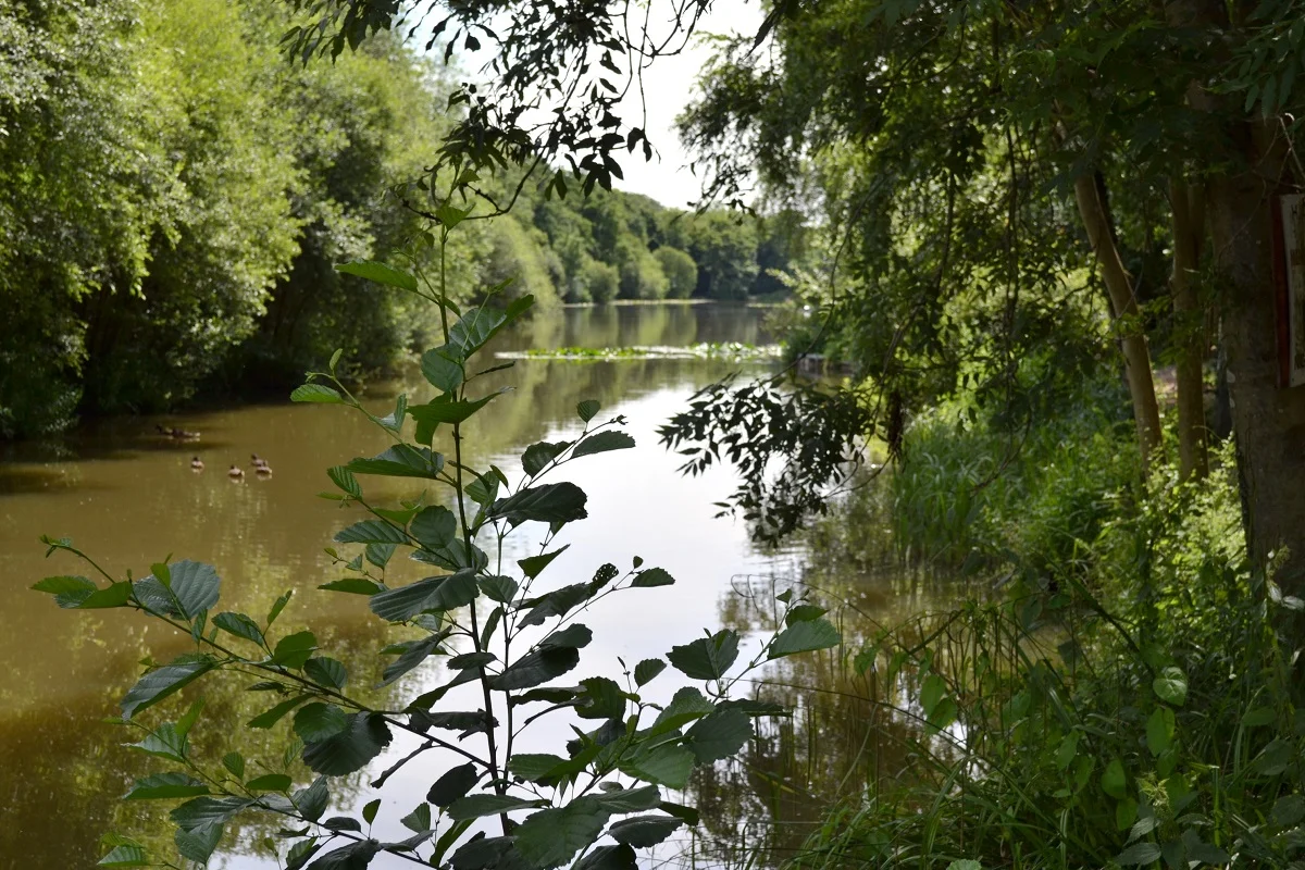 4607131883.jpg