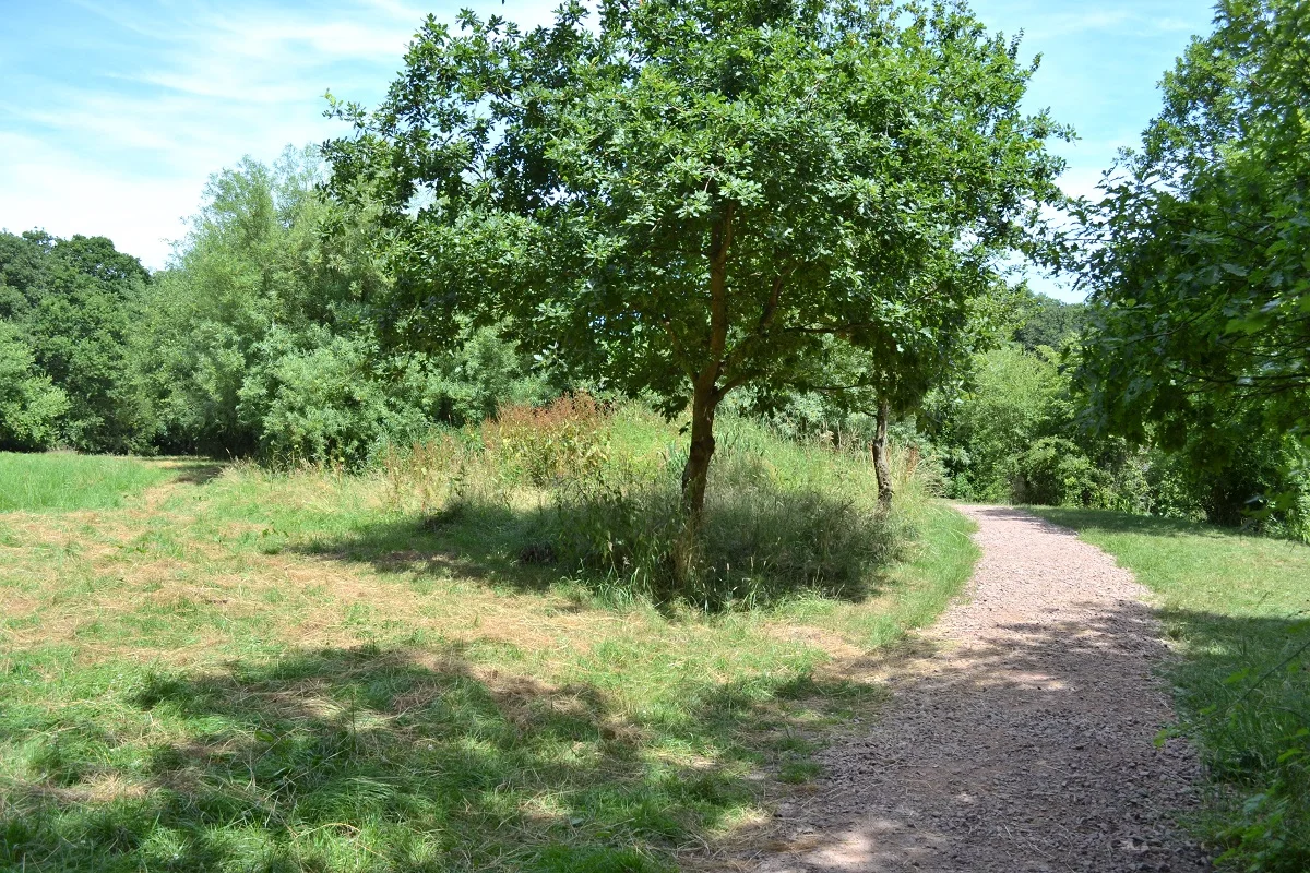 4607131892.jpg